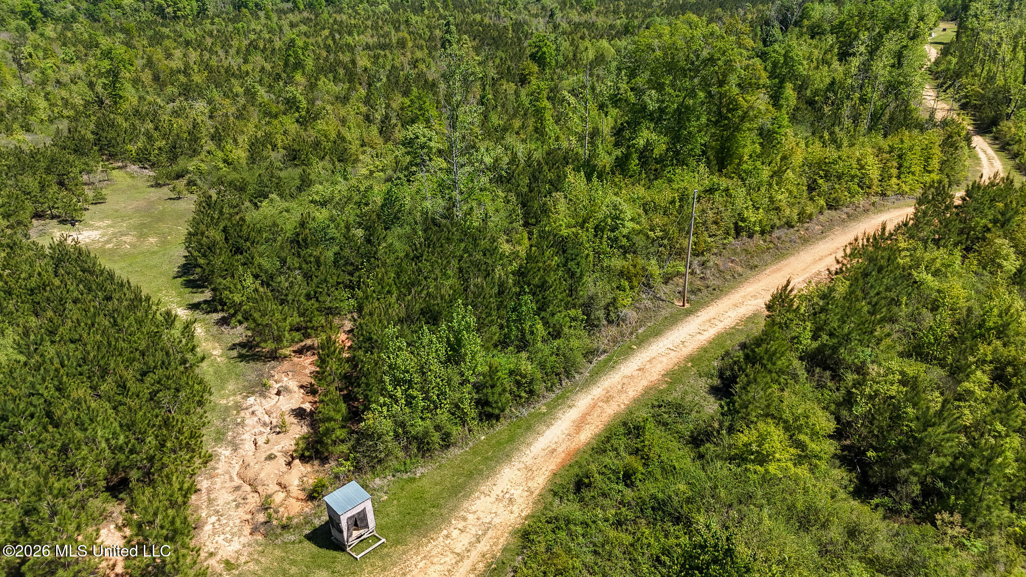 Tbd County Road 48 Property Photo 69