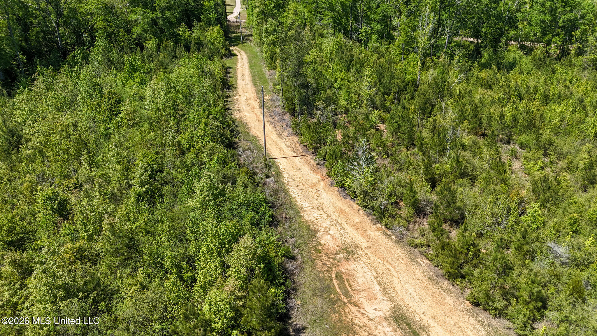 Tbd County Road 48 Property Photo 70