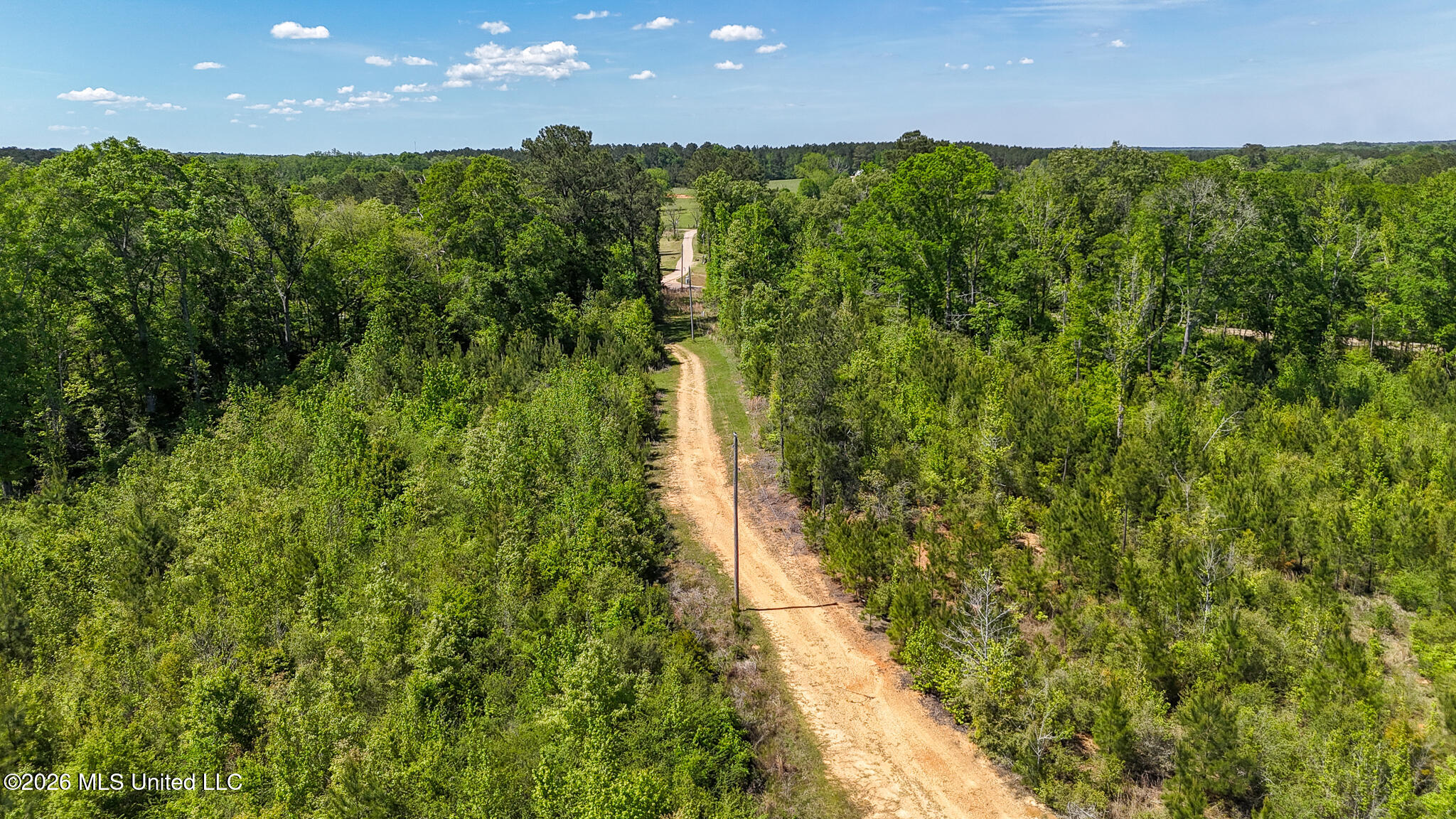 Tbd County Road 48 Property Photo 71