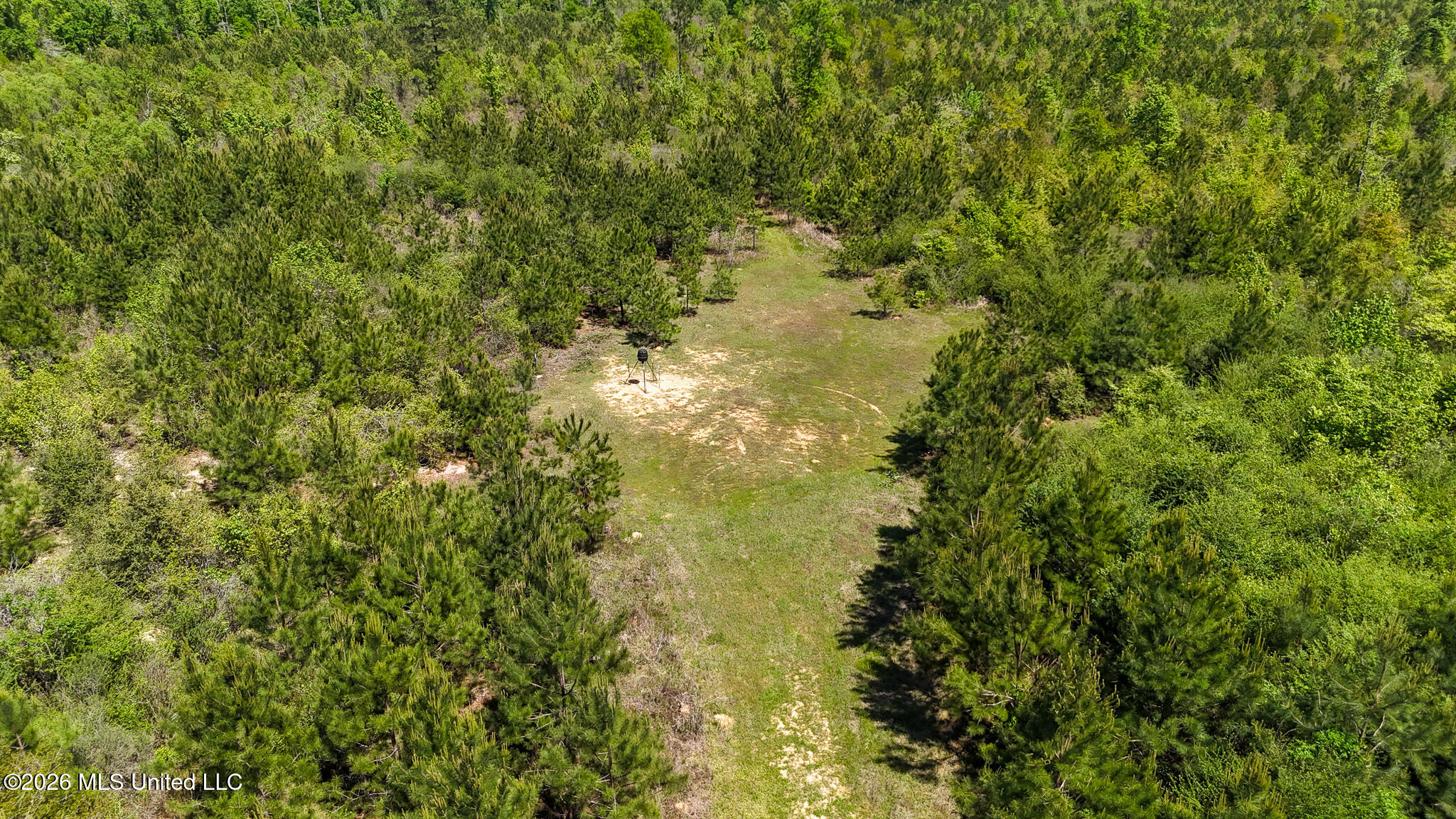 Tbd County Road 48 Property Photo 74