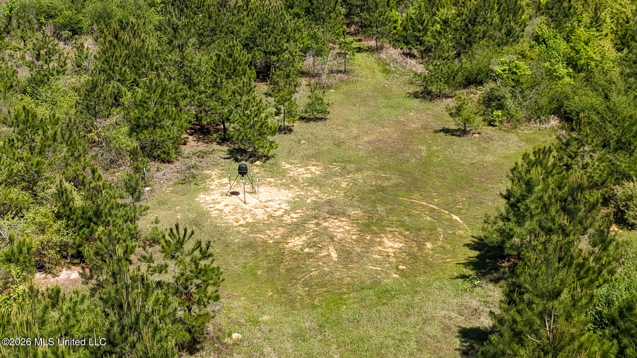 Tbd County Road 48 Property Photo 75