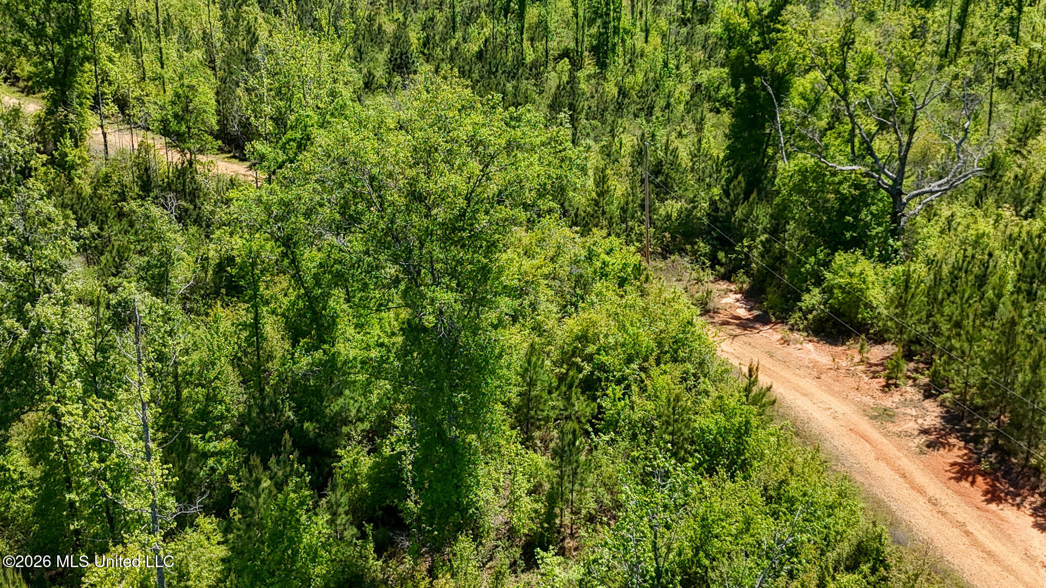 Tbd County Road 48 Property Photo 76