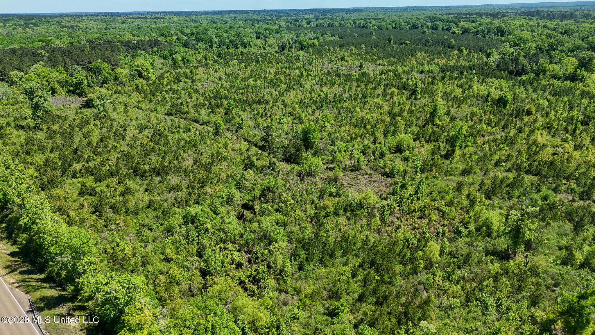 Tbd County Road 48 Property Photo 80