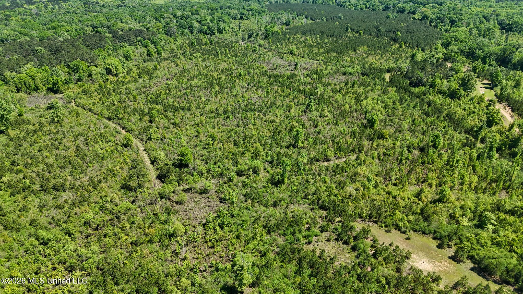 Tbd County Road 48 Property Photo 83