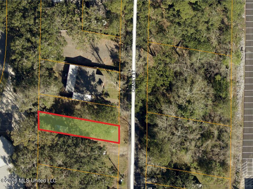 Chaney Street Property Photo 1