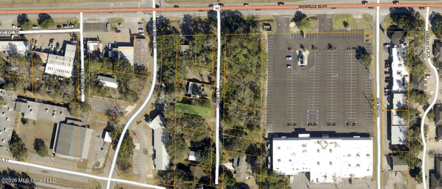 Chaney Street Property Photo 6