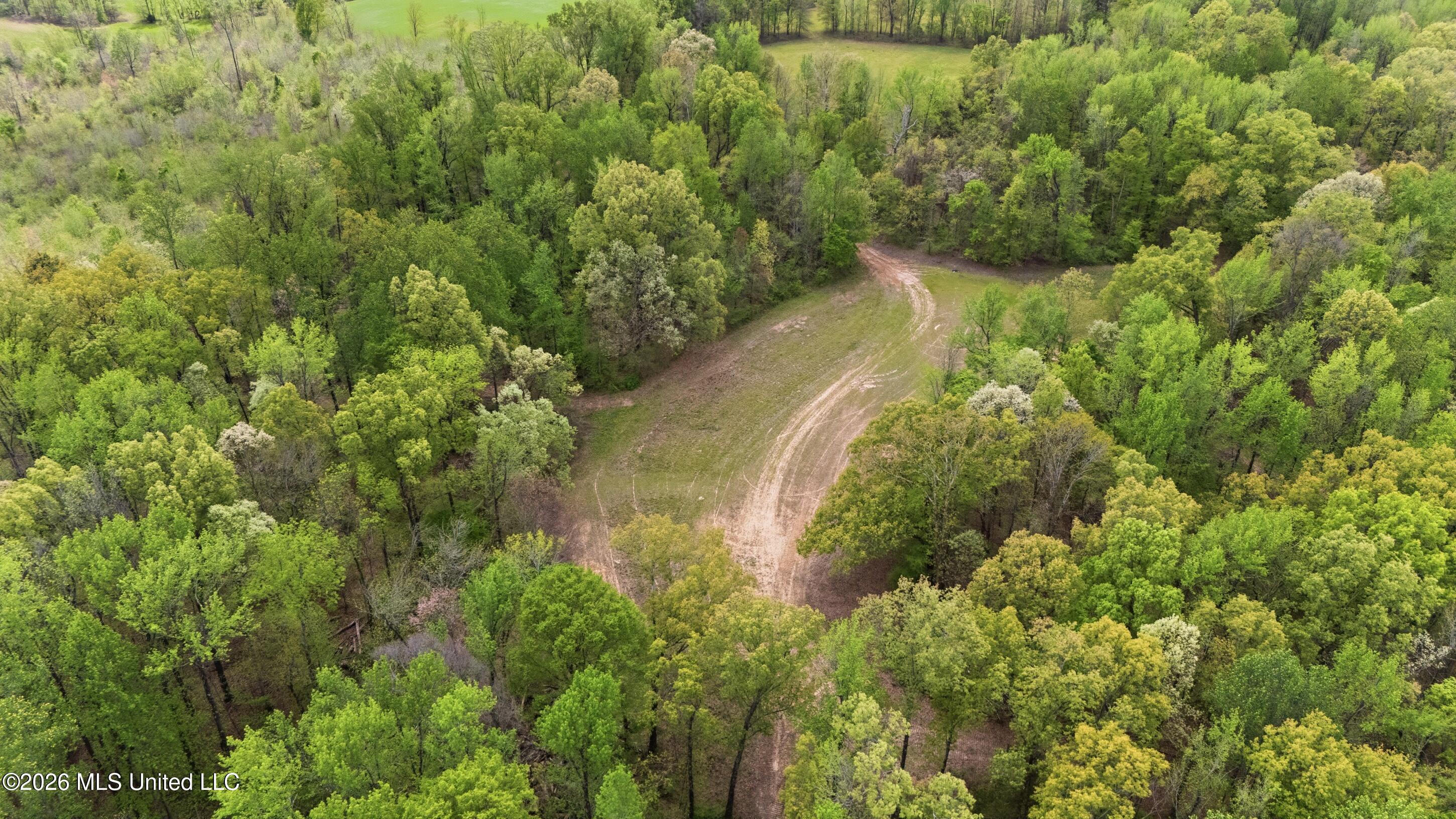 6 Nail Road Property Photo 14