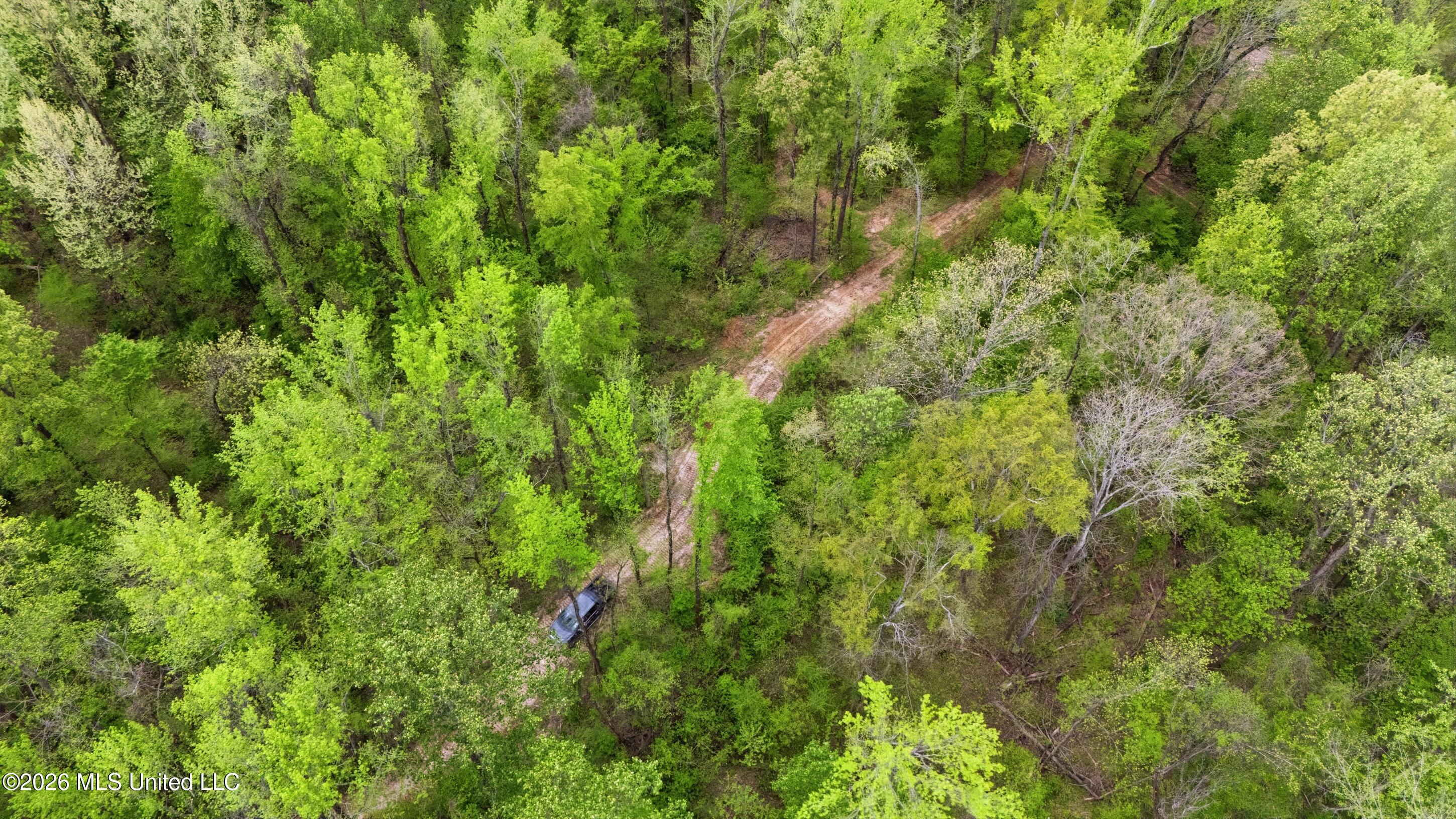 6 Nail Road Property Photo 15