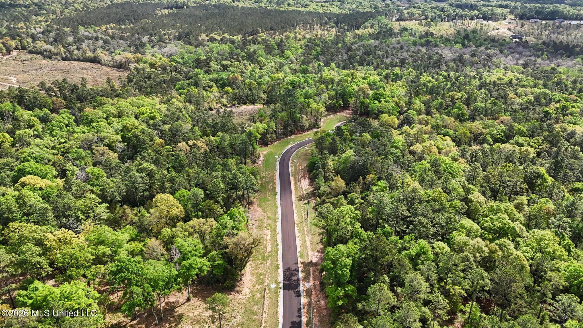 Lot 6 Pine Ridge Lane Property Photo 11
