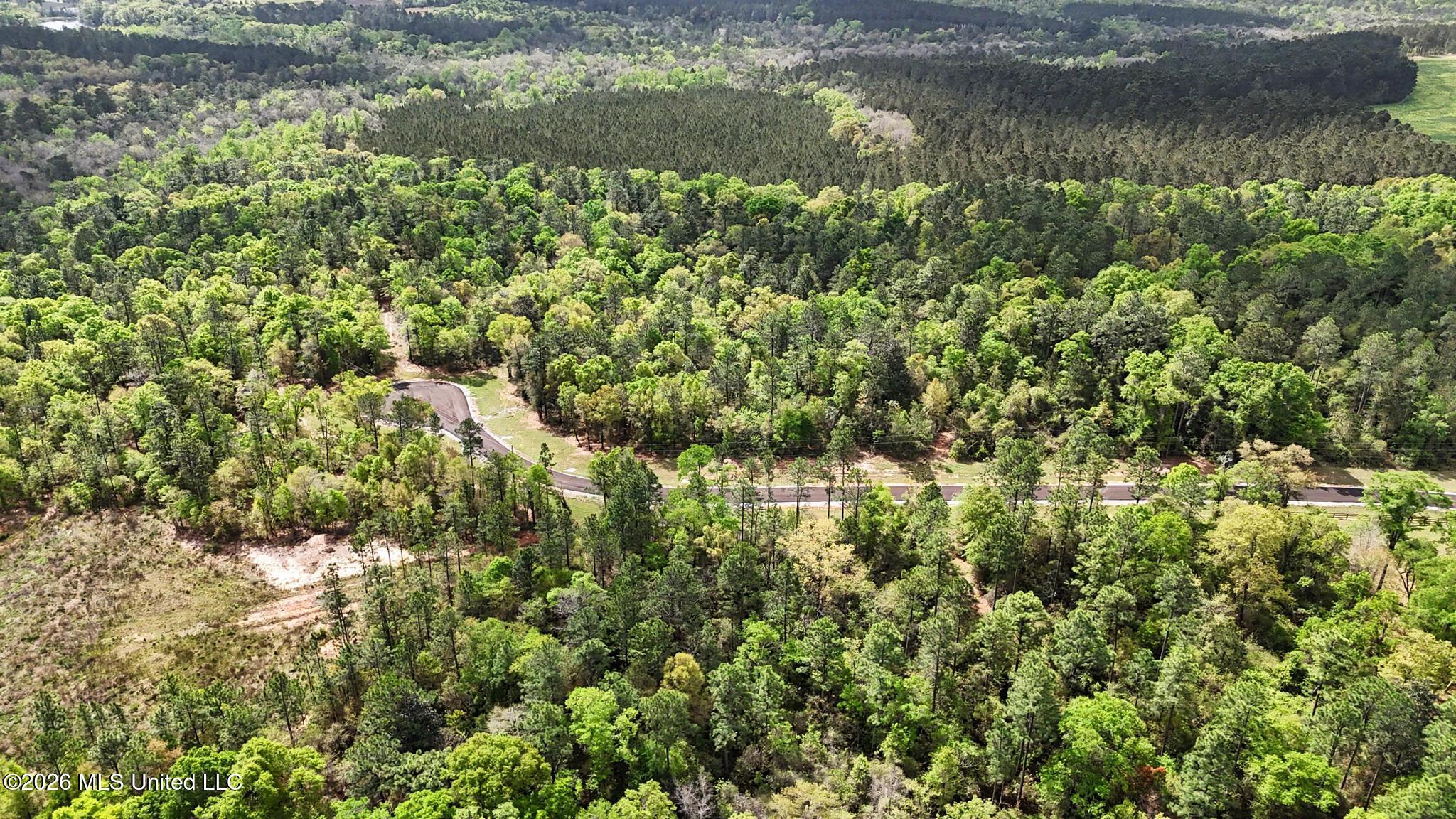 Lot 6 Pine Ridge Lane Property Photo 12