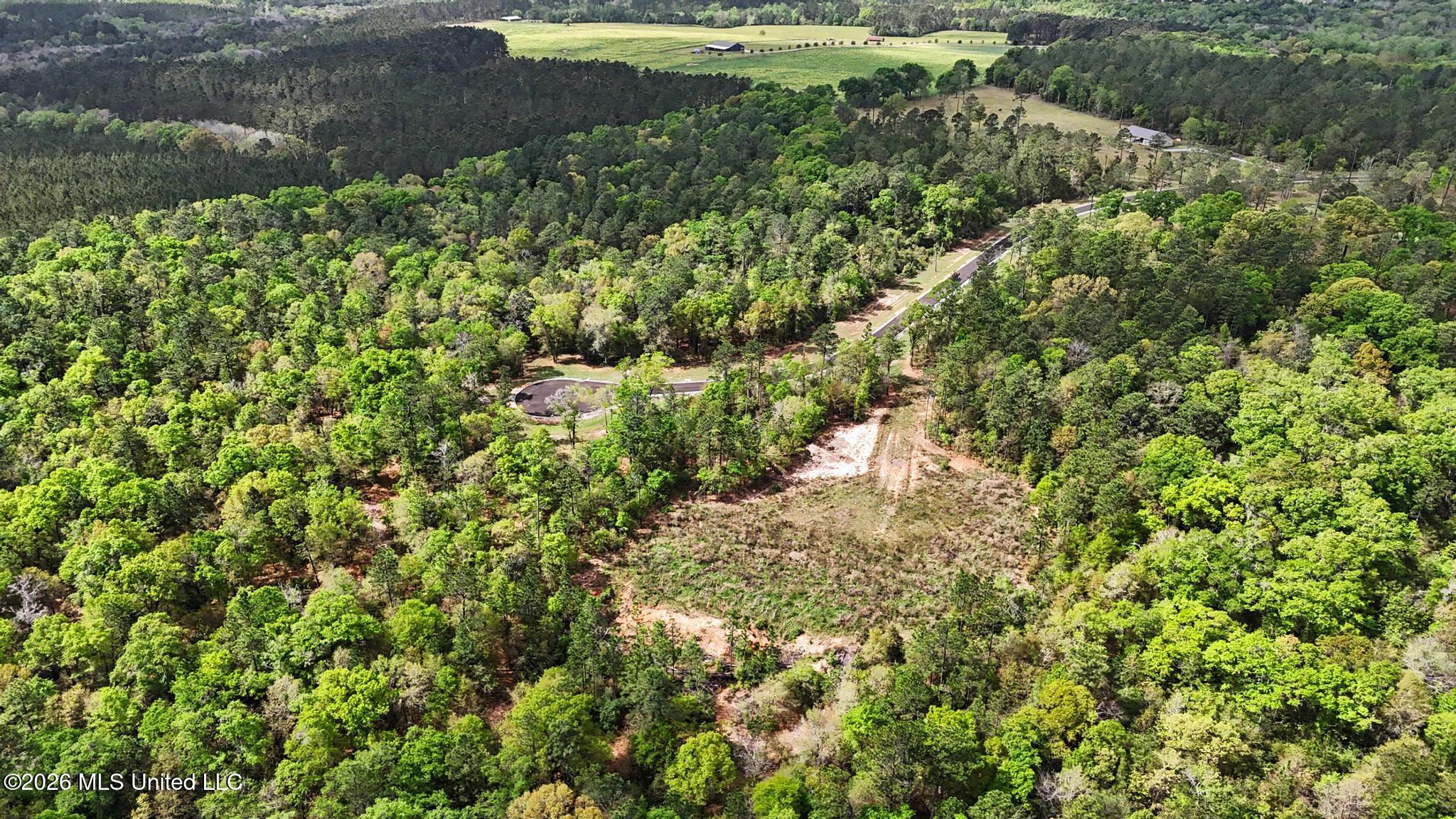 Lot 6 Pine Ridge Lane Property Photo 13