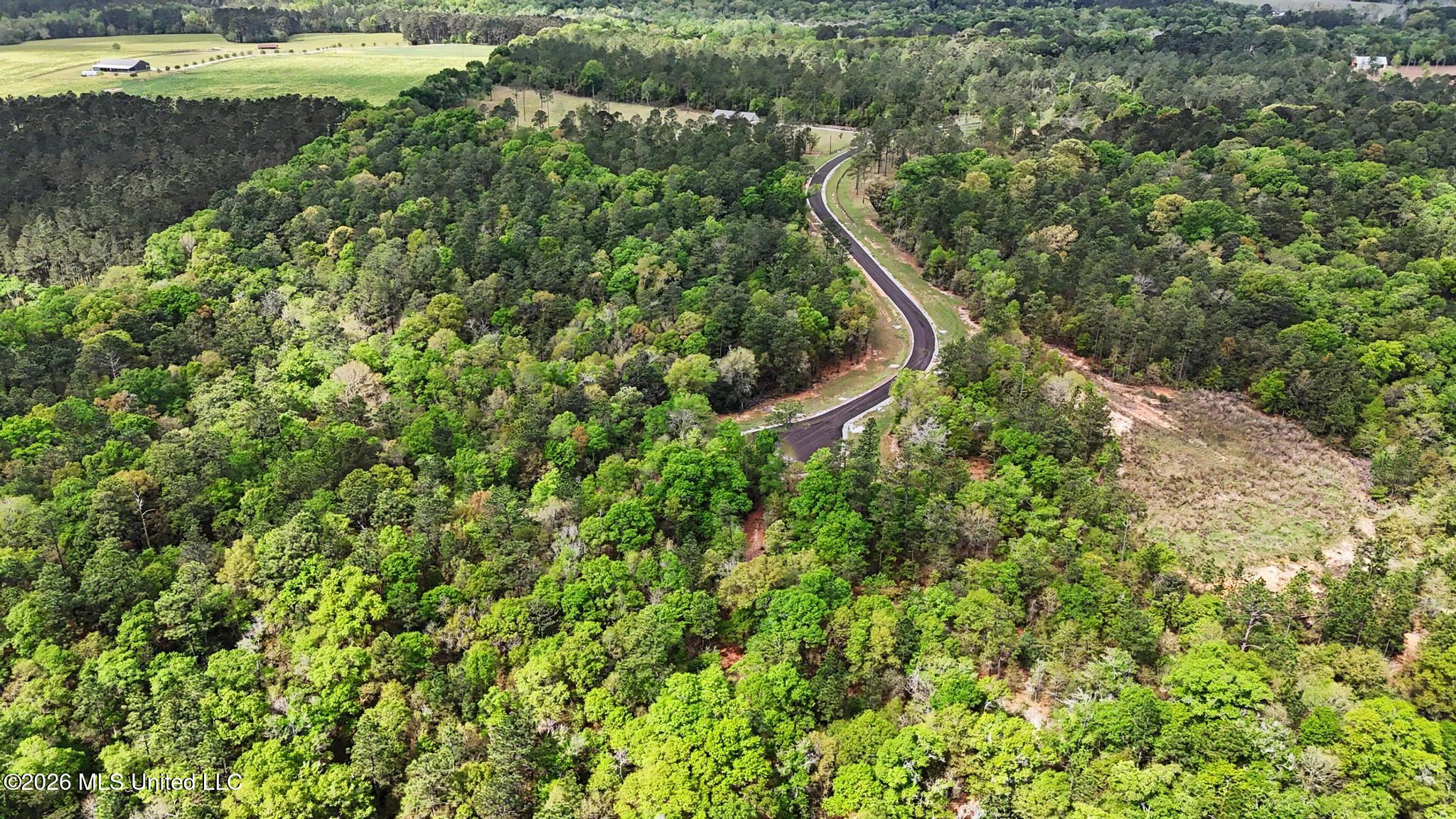 Lot 6 Pine Ridge Lane Property Photo 14