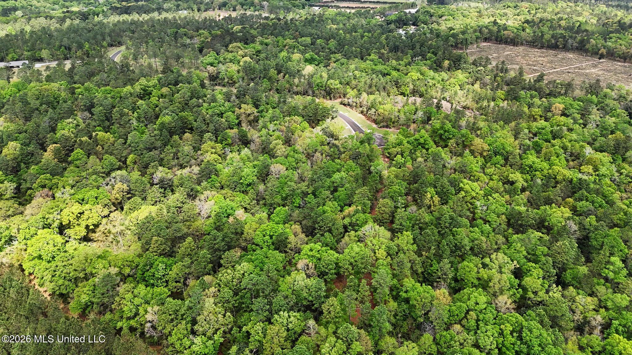 Lot 6 Pine Ridge Lane Property Photo 15