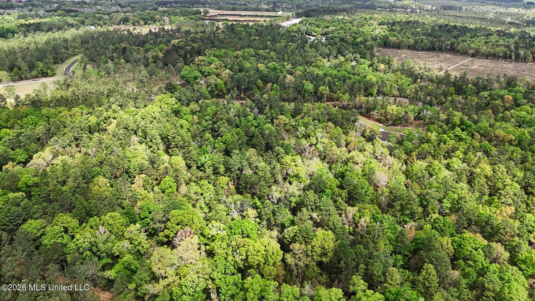 Lot 11 Pine Ridge Lane Property Photo 16