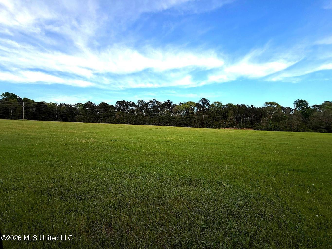 30 Acres Hwy 13 Property Photo 5