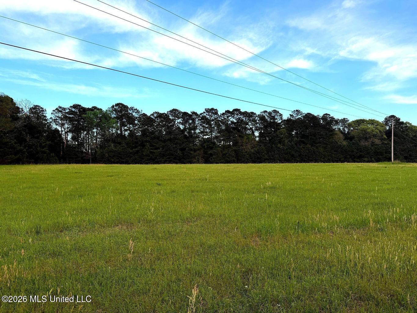 30 Acres Hwy 13 Property Photo 6