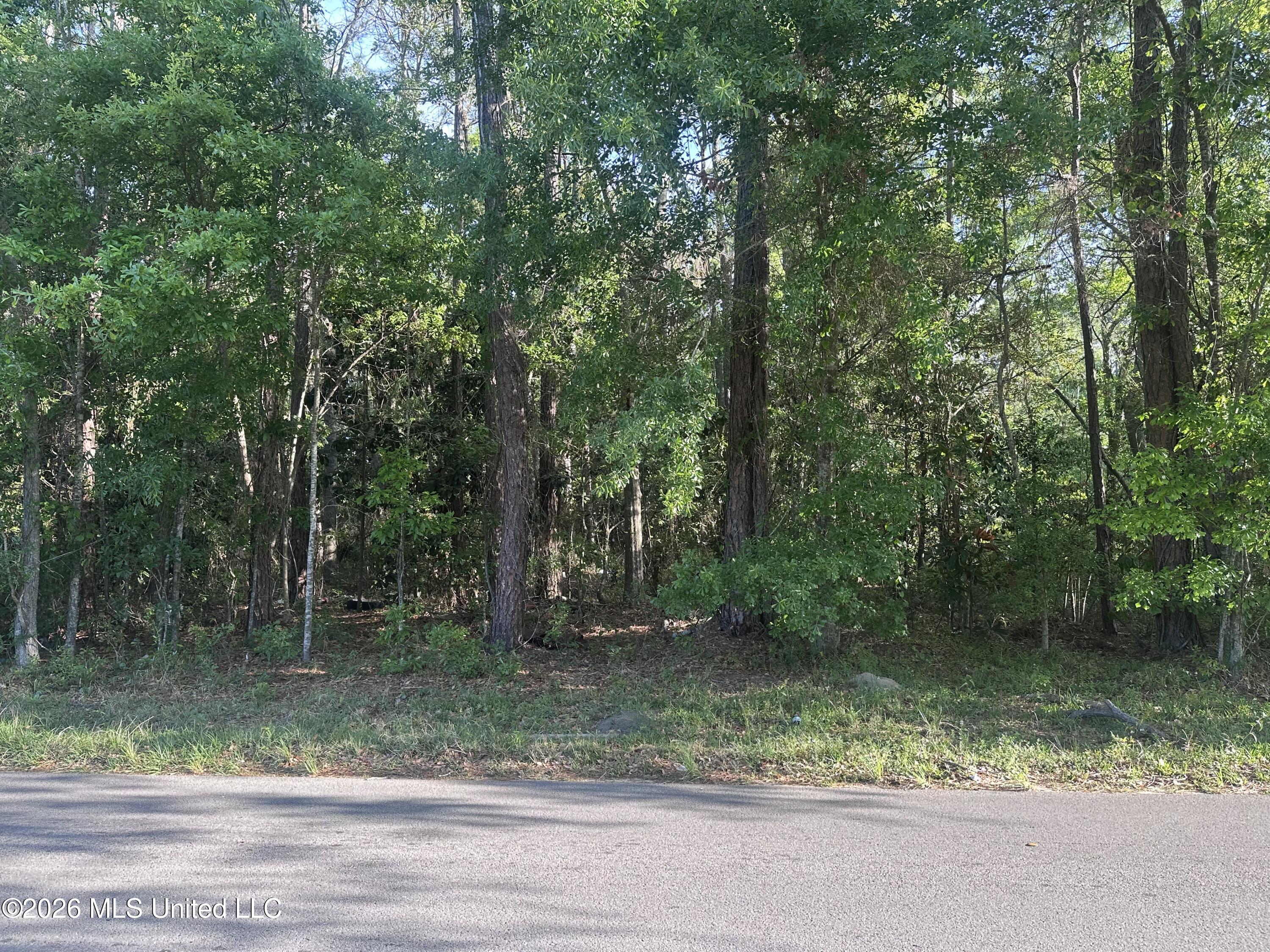Martin Luther King Boulevard Property Photo 5