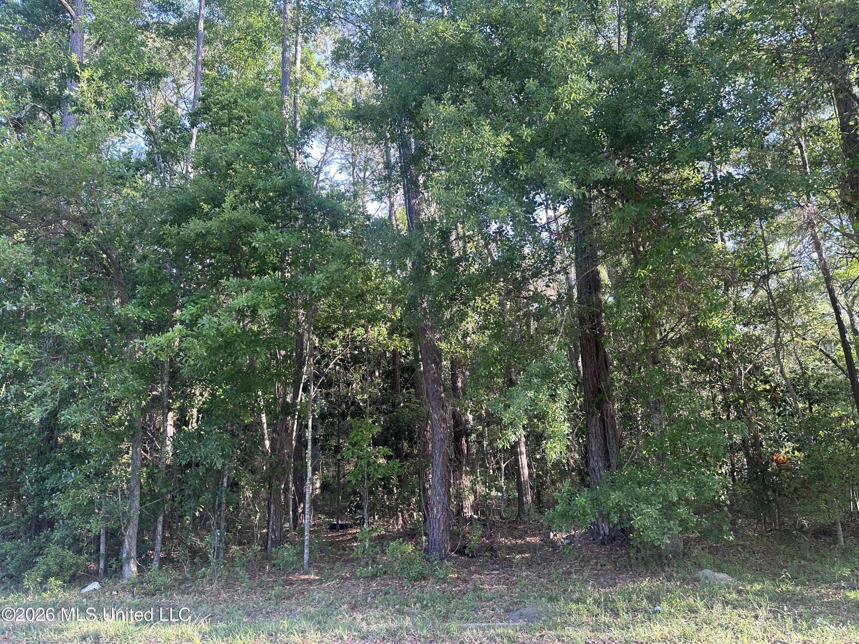 Gregory St. Street Property Photo 1