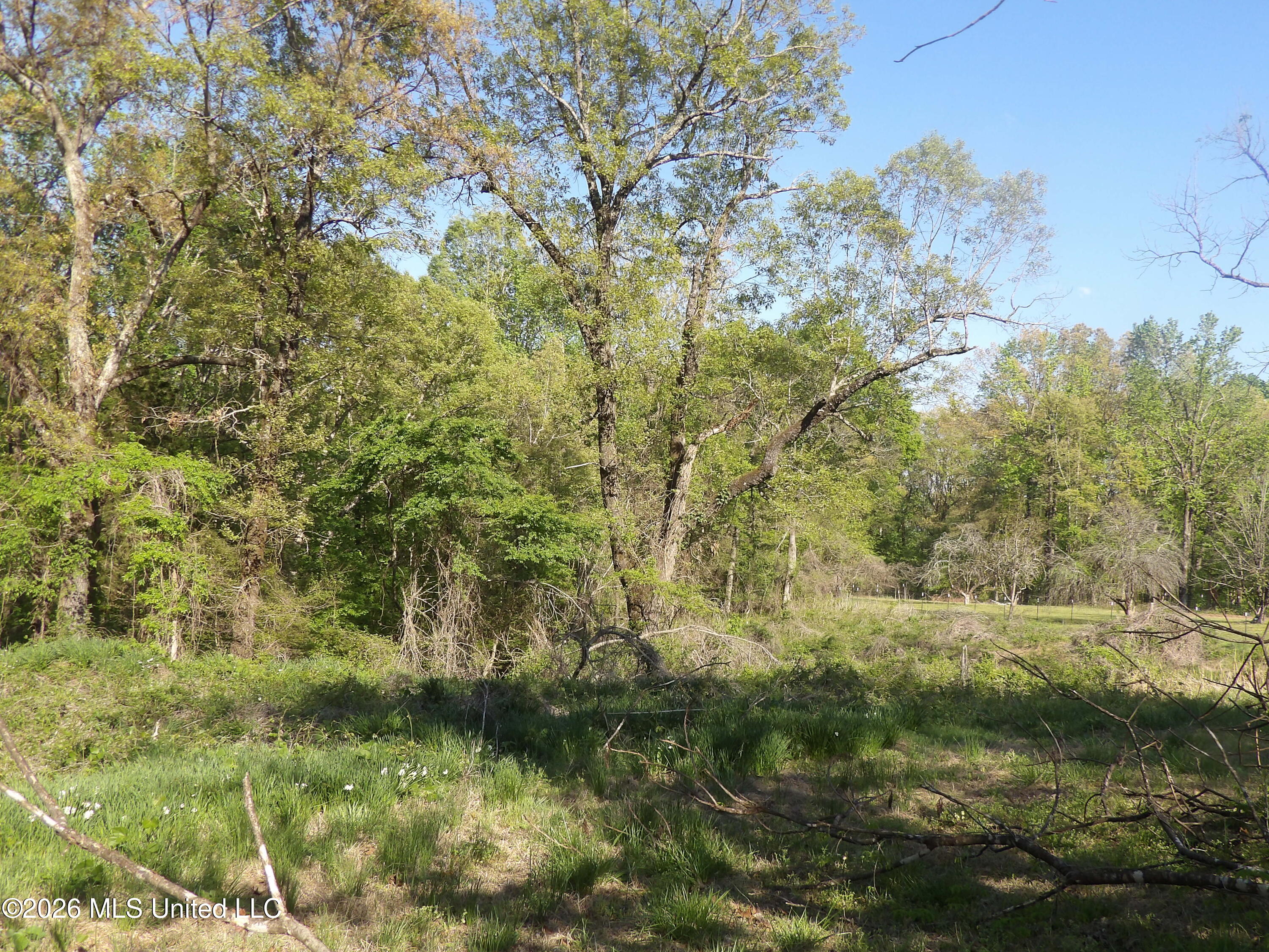 4269 Laws Hill Road Property Photo 2