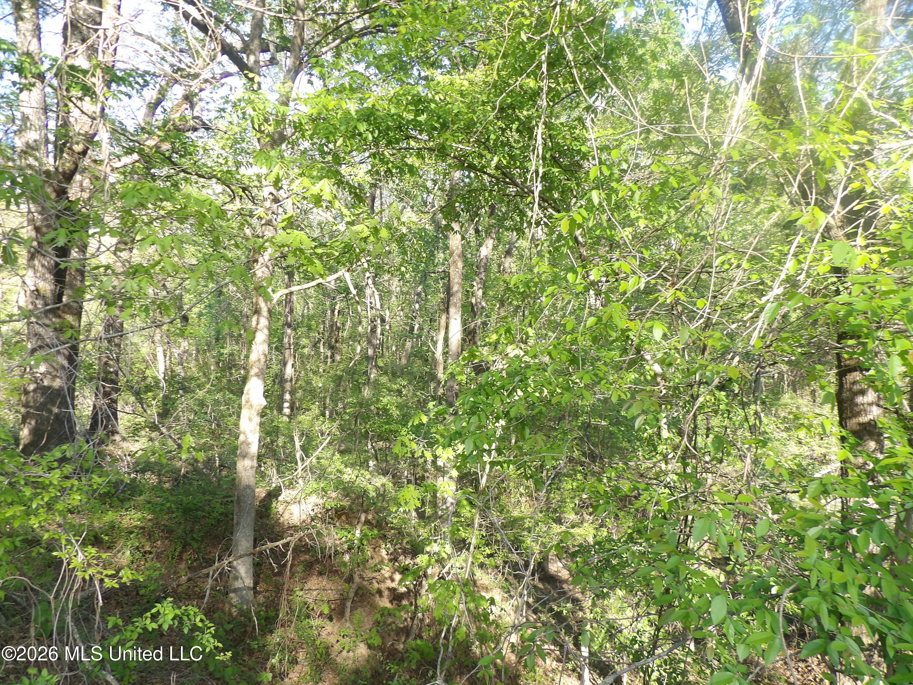 4269 Laws Hill Road Property Photo 3
