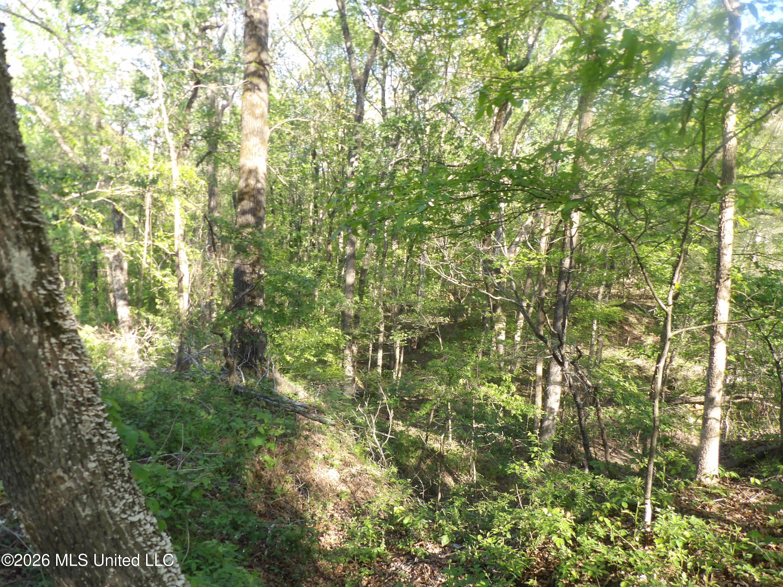 4269 Laws Hill Road Property Photo 4