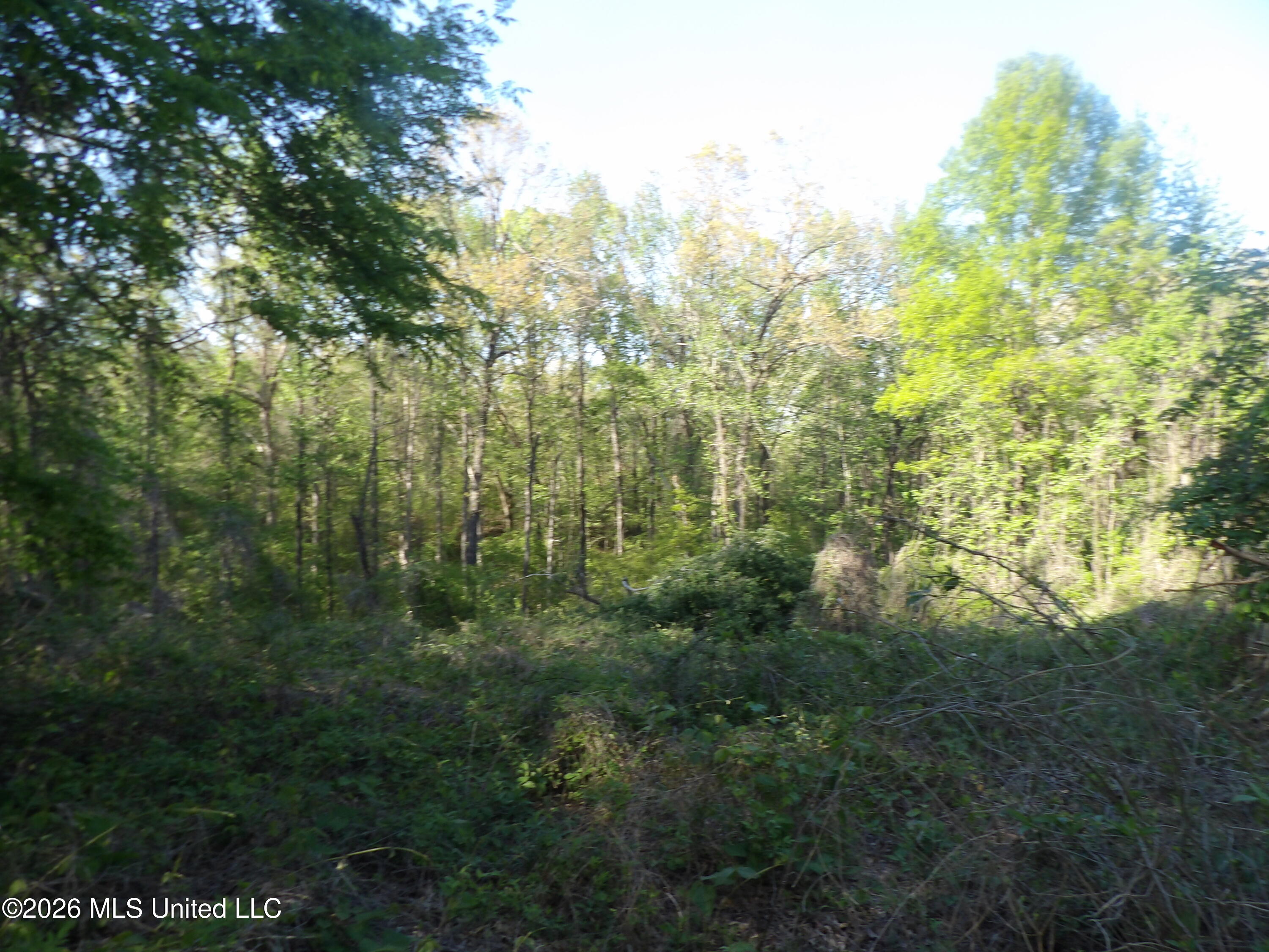 4269 Laws Hill Road Property Photo 5