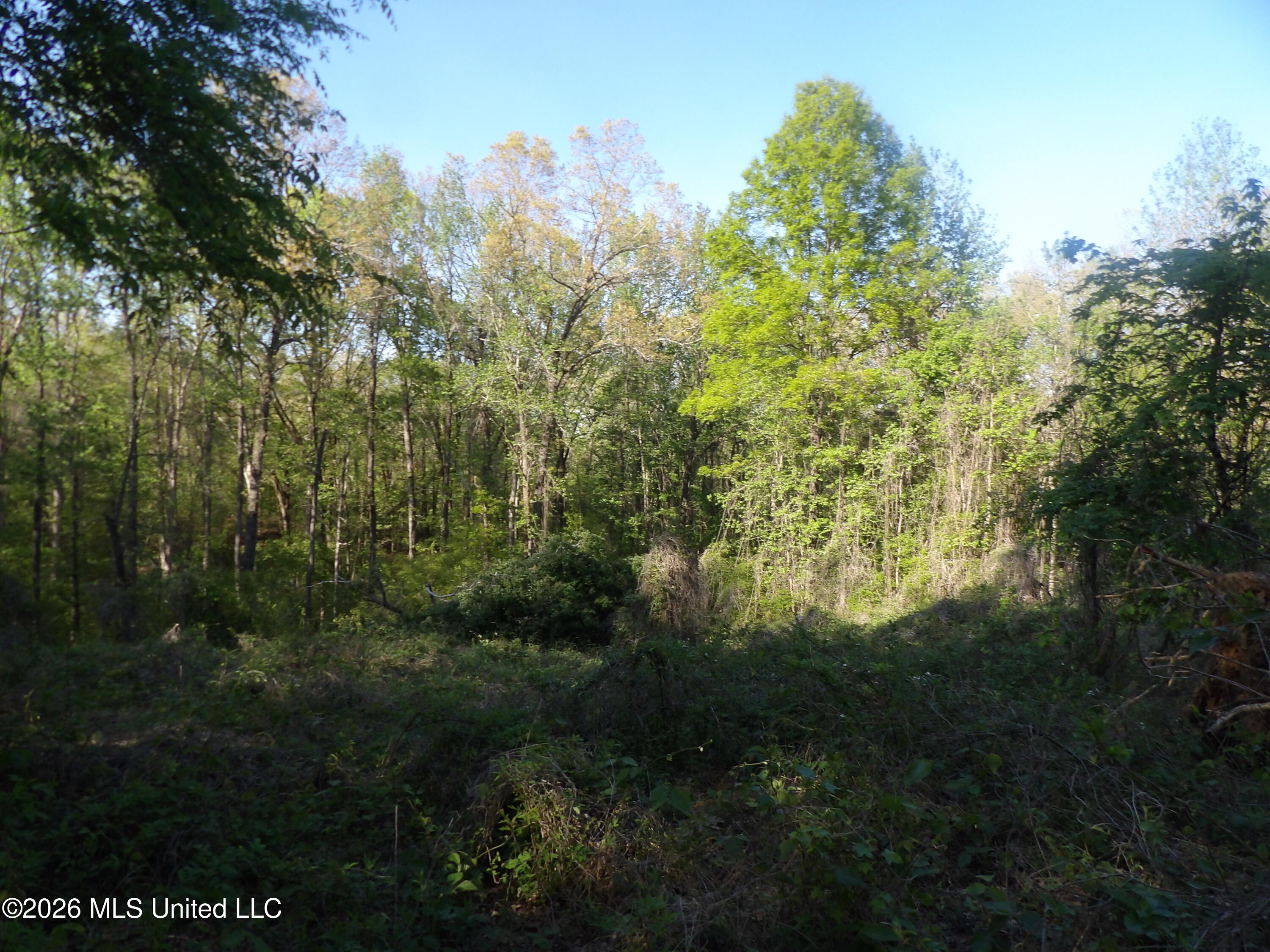 4269 Laws Hill Road Property Photo 6