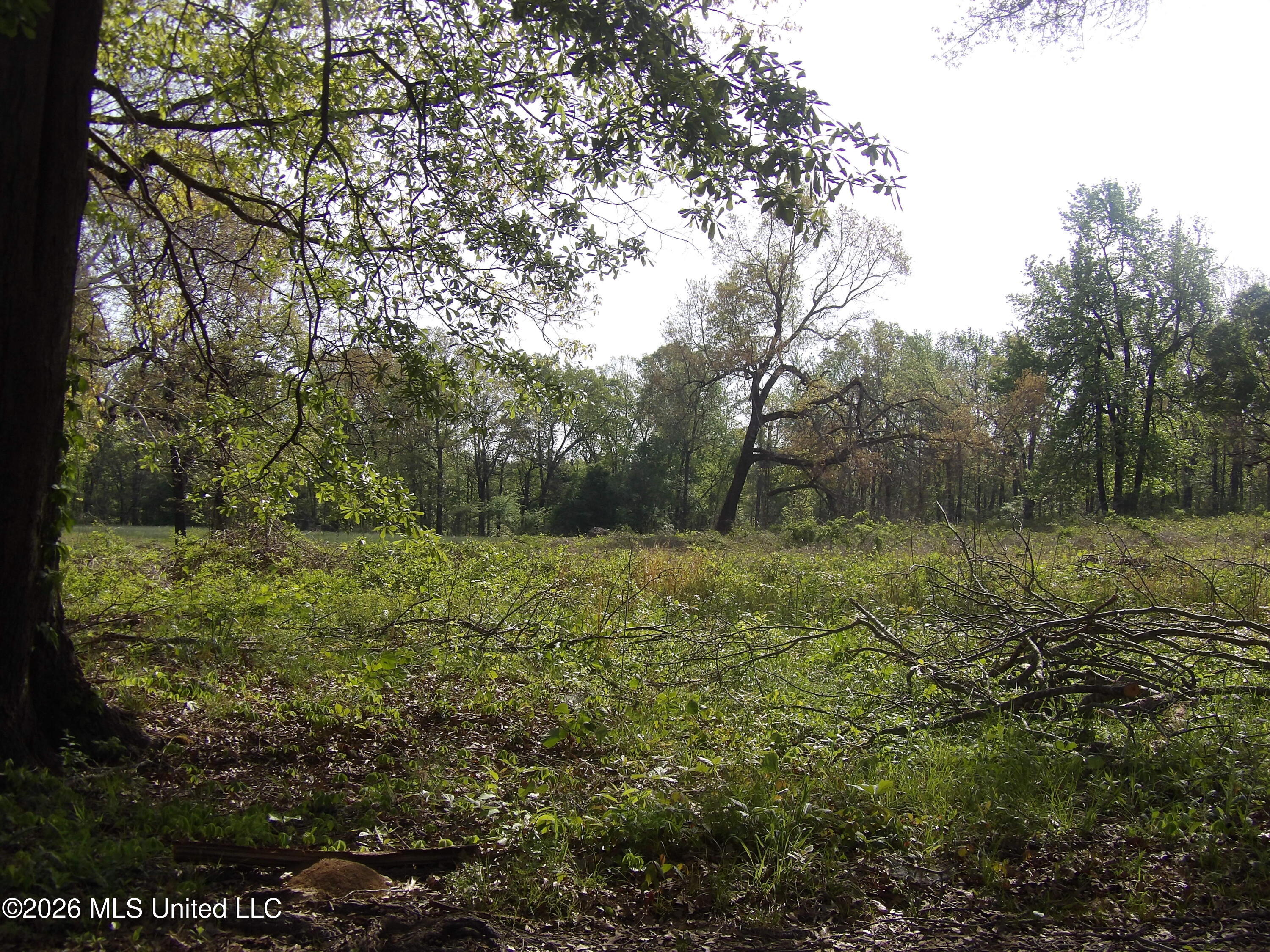 4269 Laws Hill Road Property Photo 10