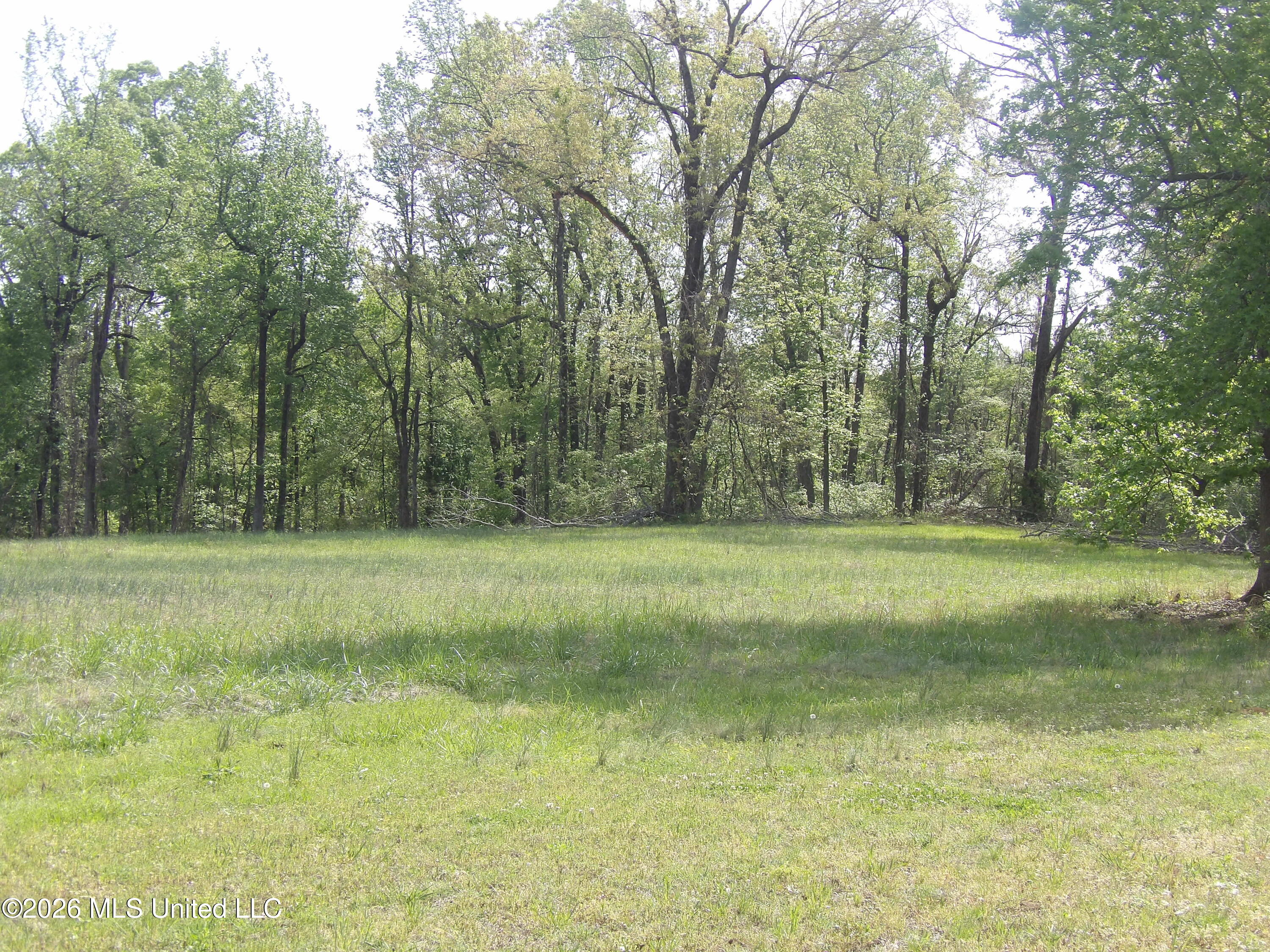 4269 Laws Hill Road Property Photo 12