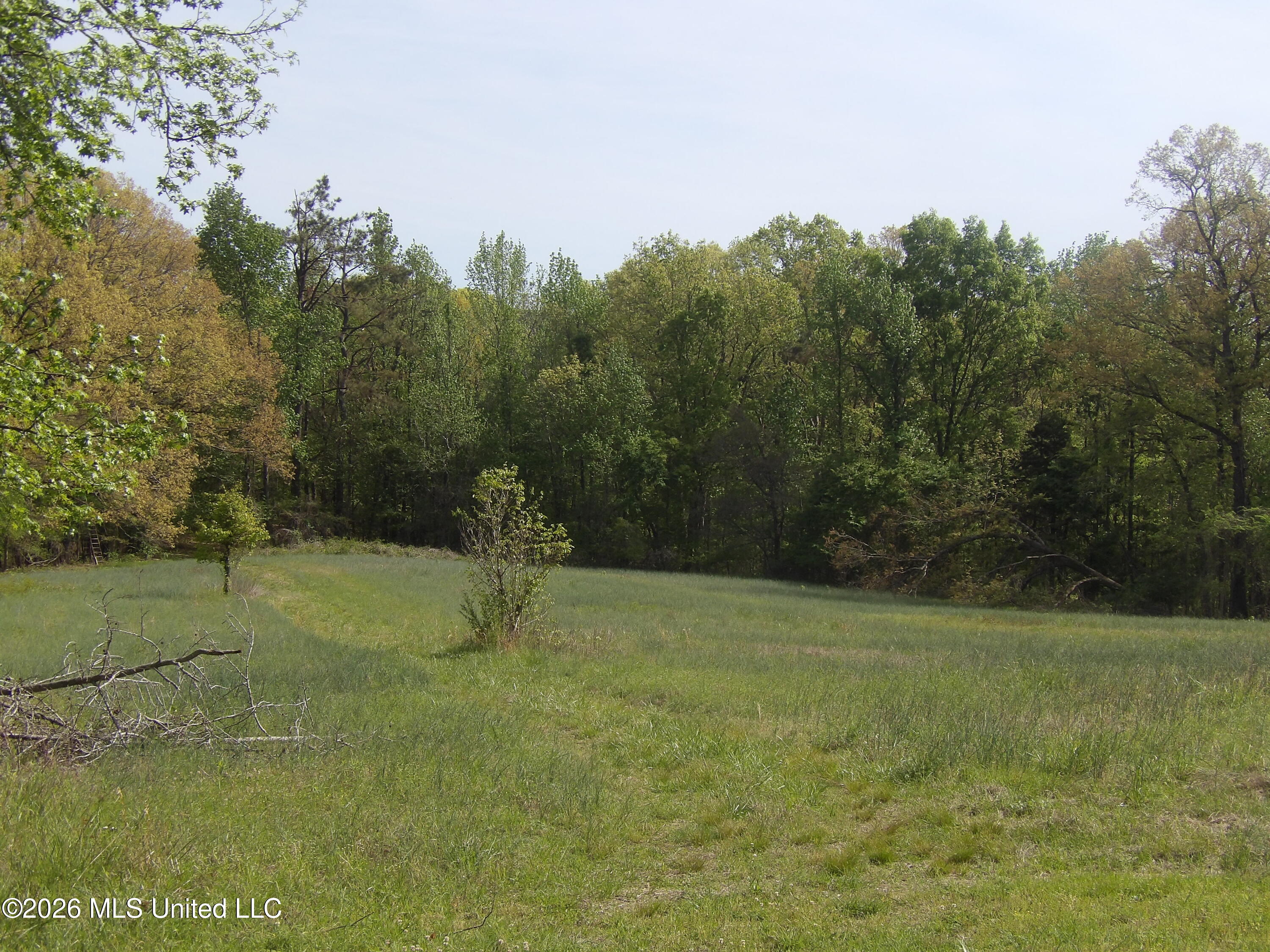 4269 Laws Hill Road Property Photo 13