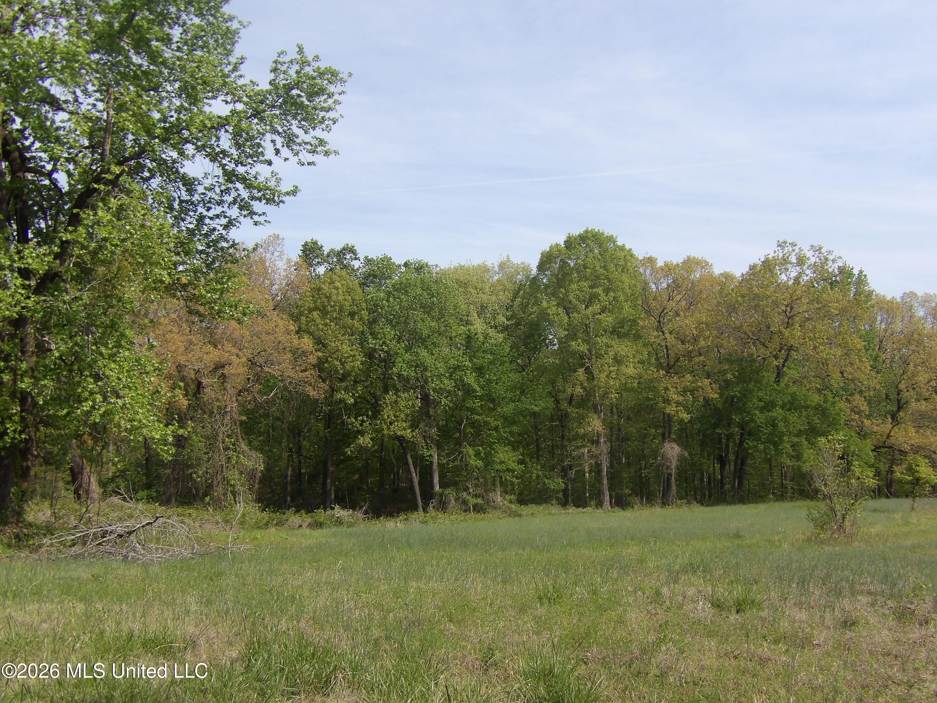 4269 Laws Hill Road Property Photo 15