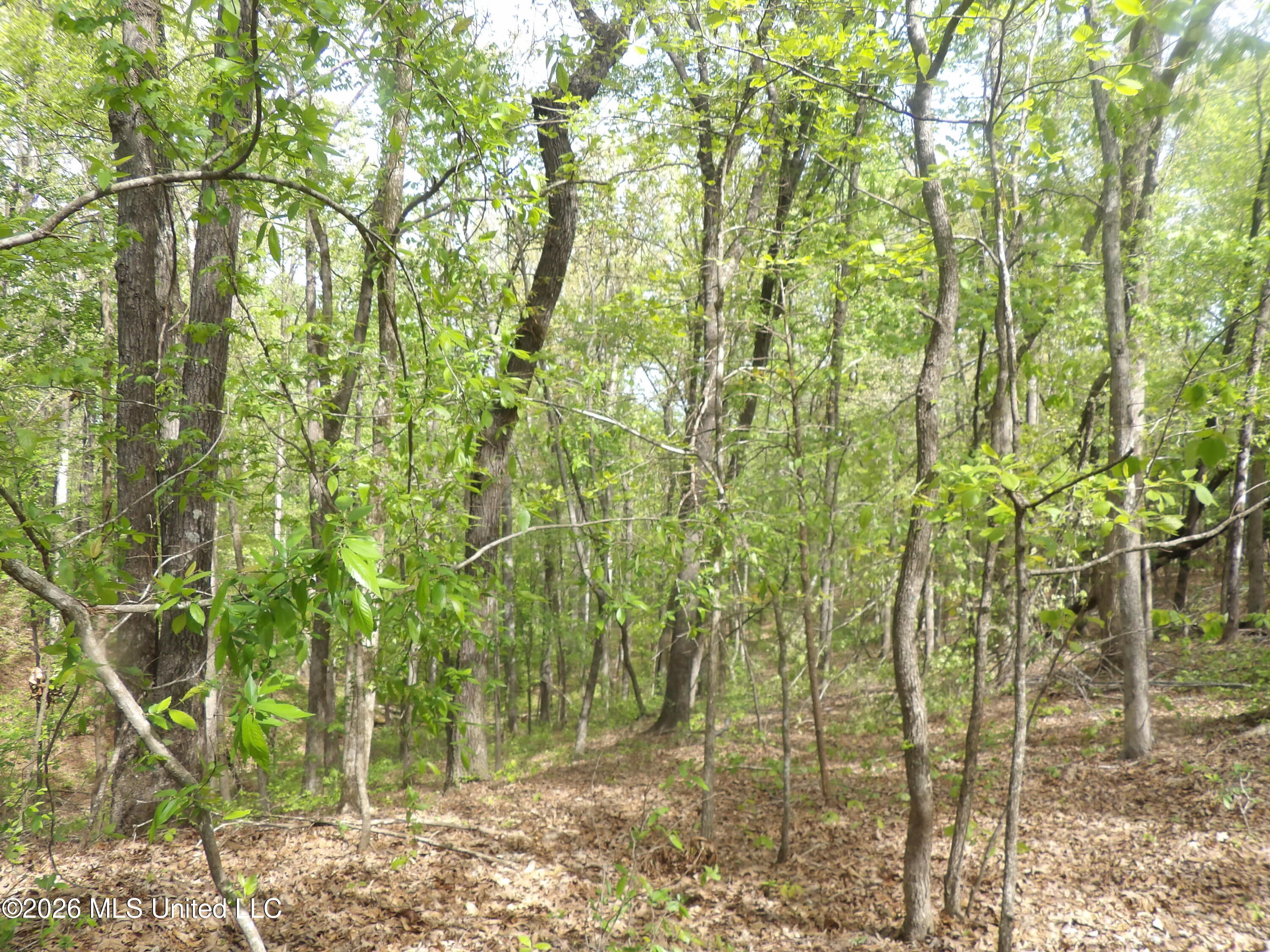 4269 Laws Hill Road Property Photo 17
