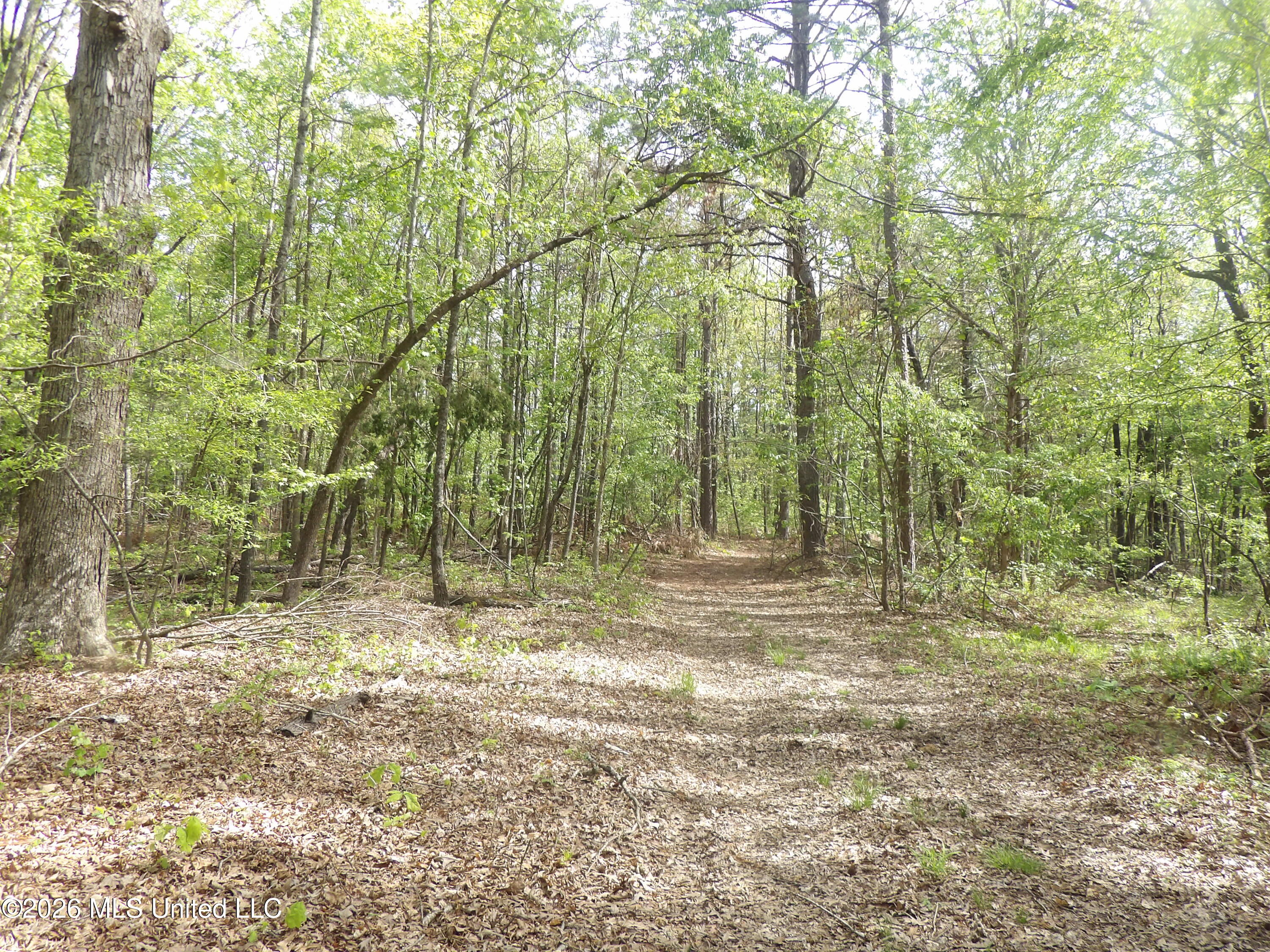 4269 Laws Hill Road Property Photo 18