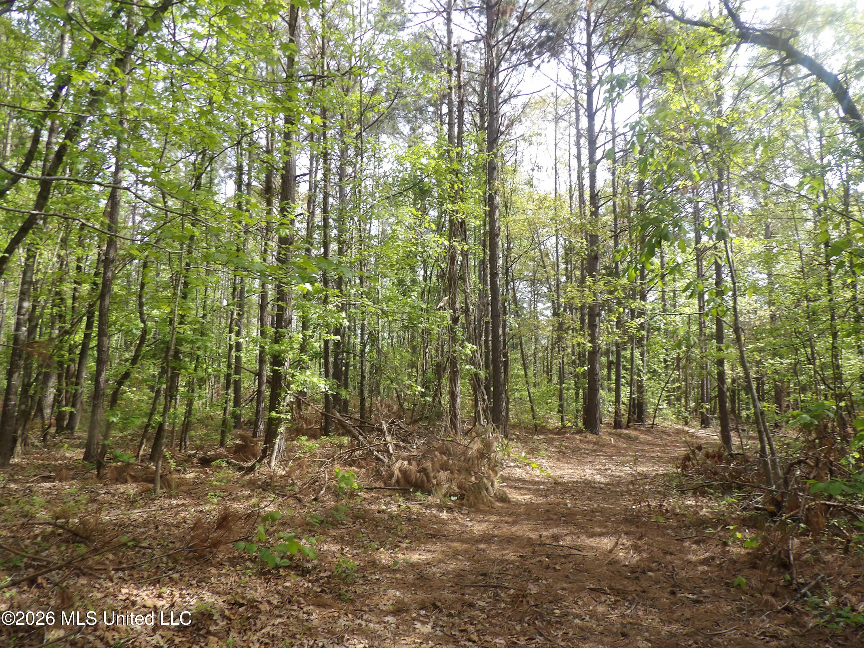 4269 Laws Hill Road Property Photo 19