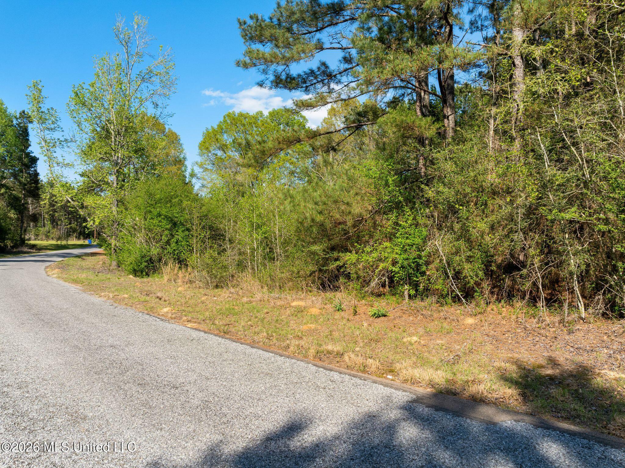 3 Acres Will Barber Road Property Photo 2