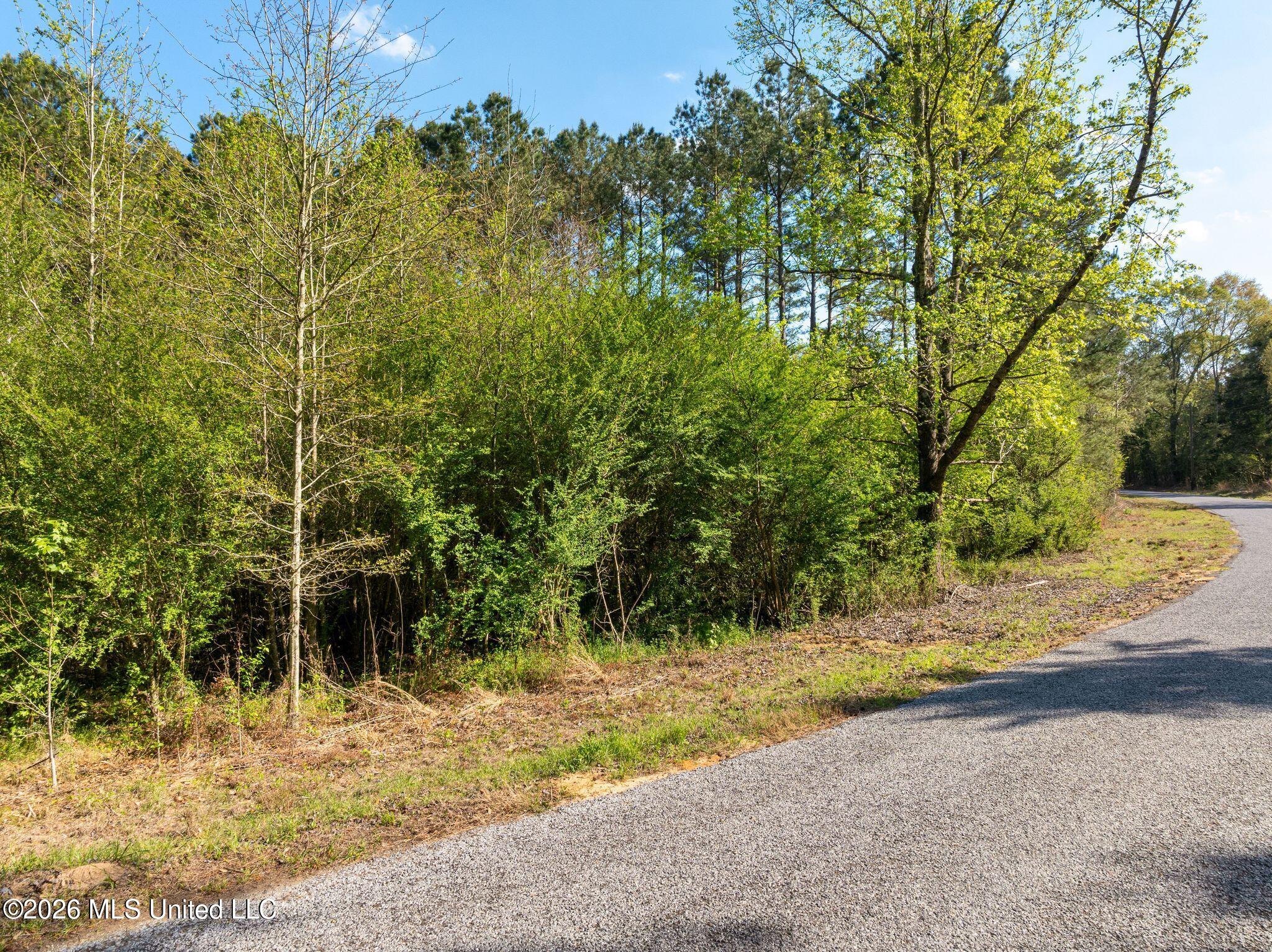 3 Acres Will Barber Road Property Photo 3