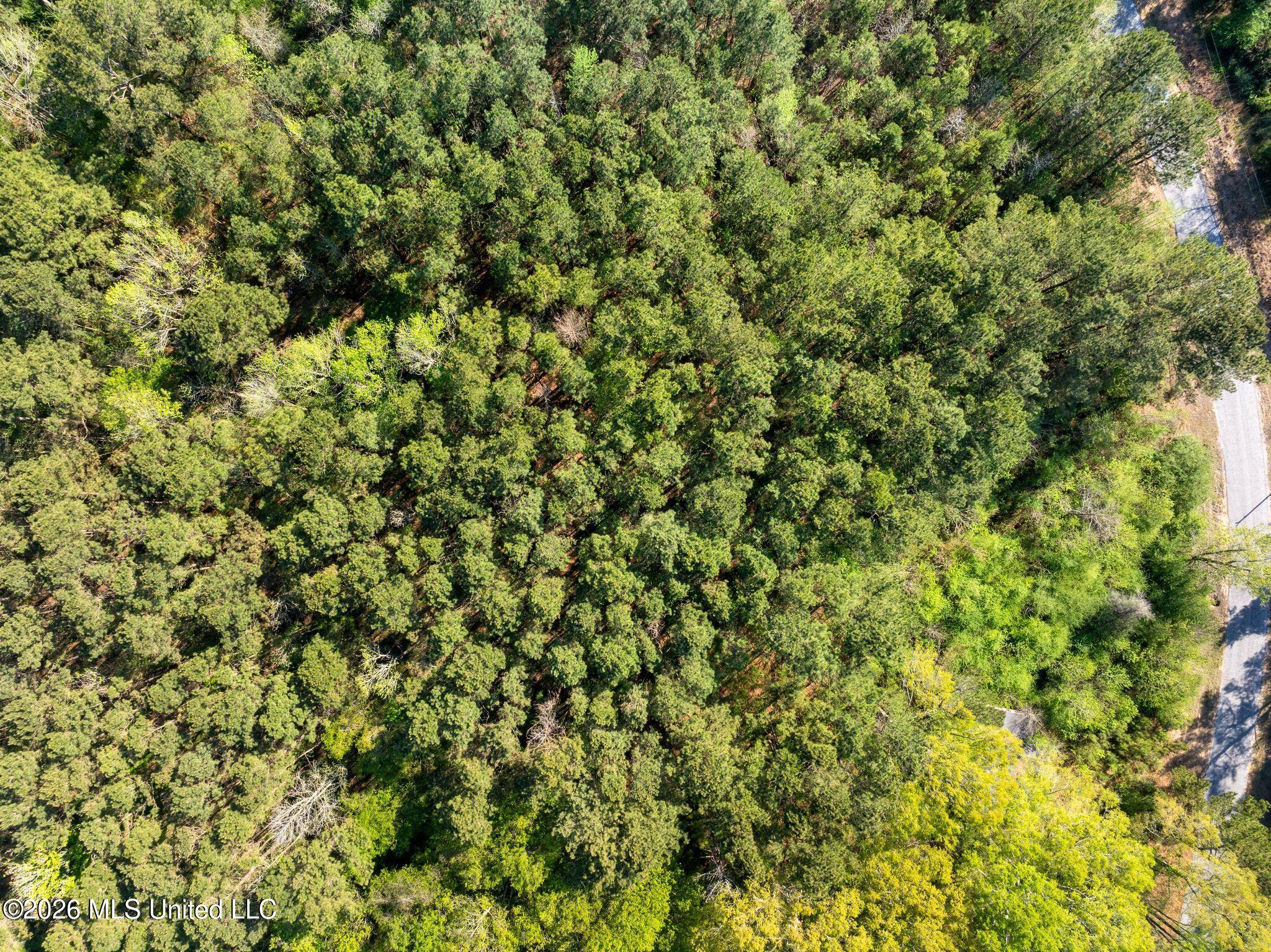 3 Acres Will Barber Road Property Photo 5