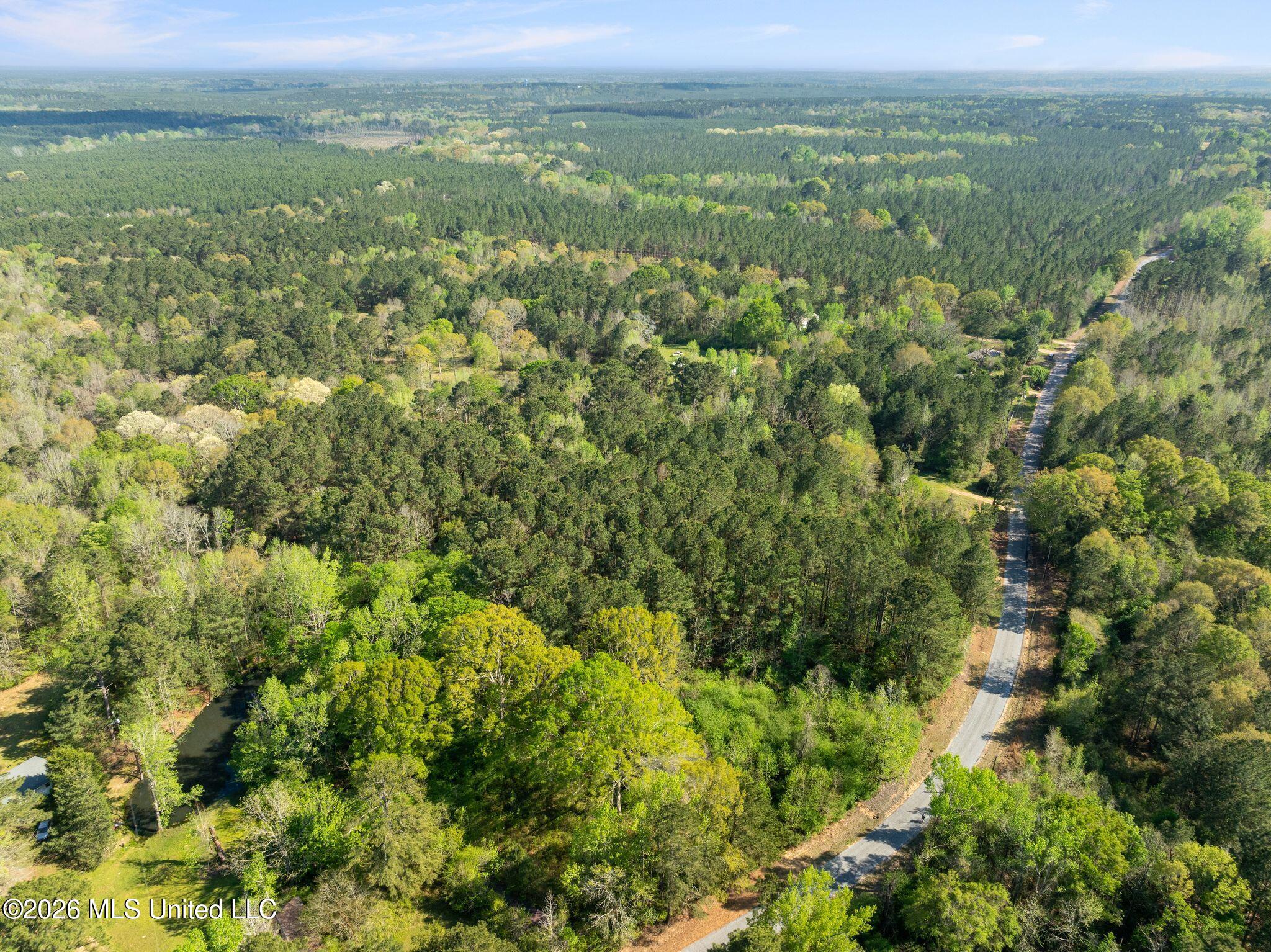 3 Acres Will Barber Road Property Photo 8