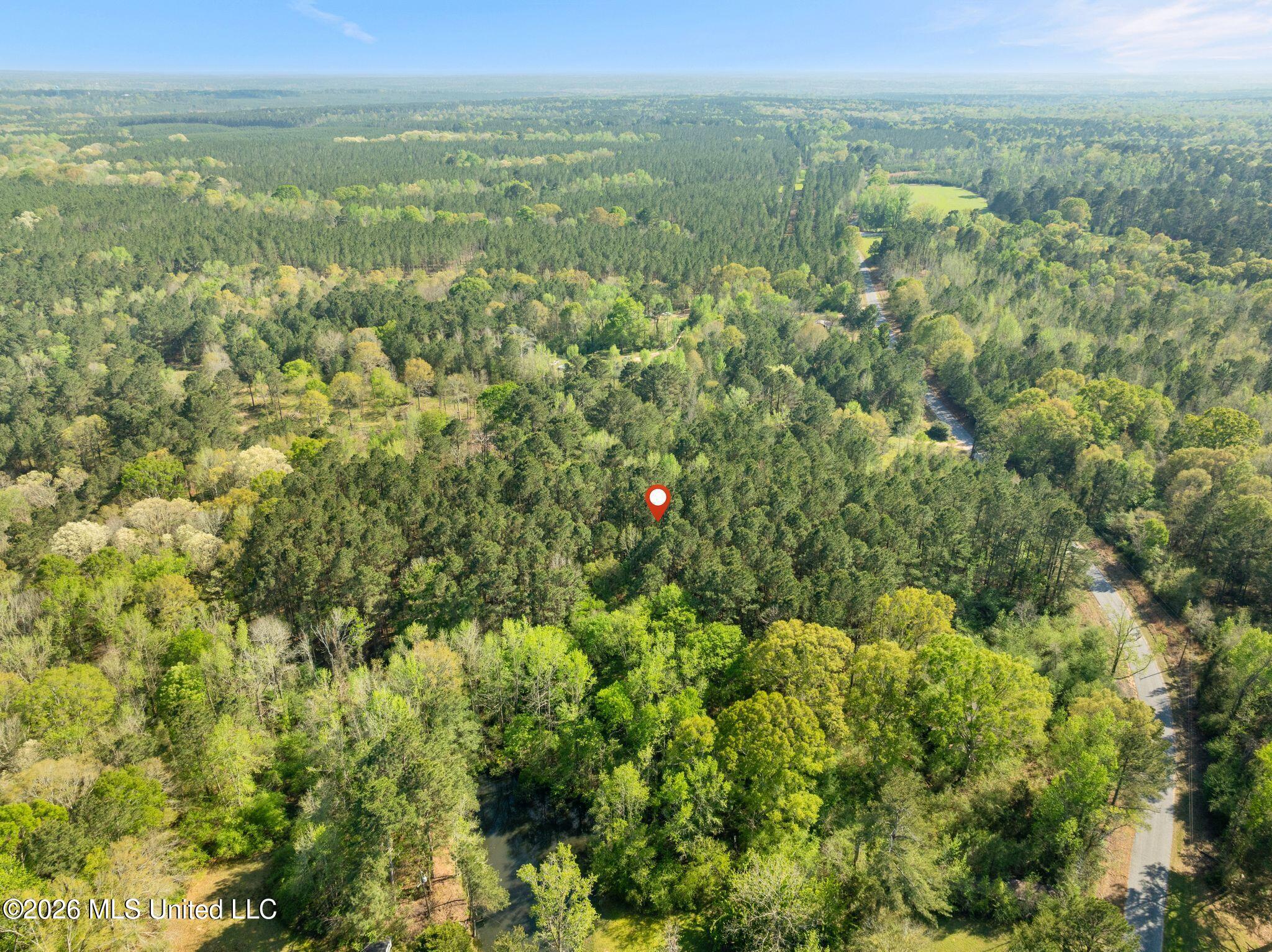 3 Acres Will Barber Road Property Photo 9