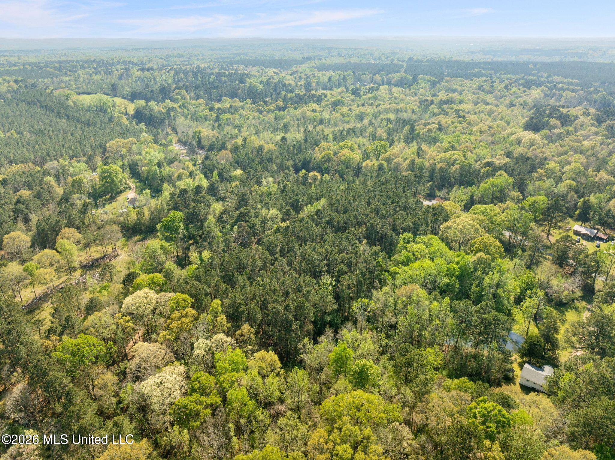 3 Acres Will Barber Road Property Photo 10