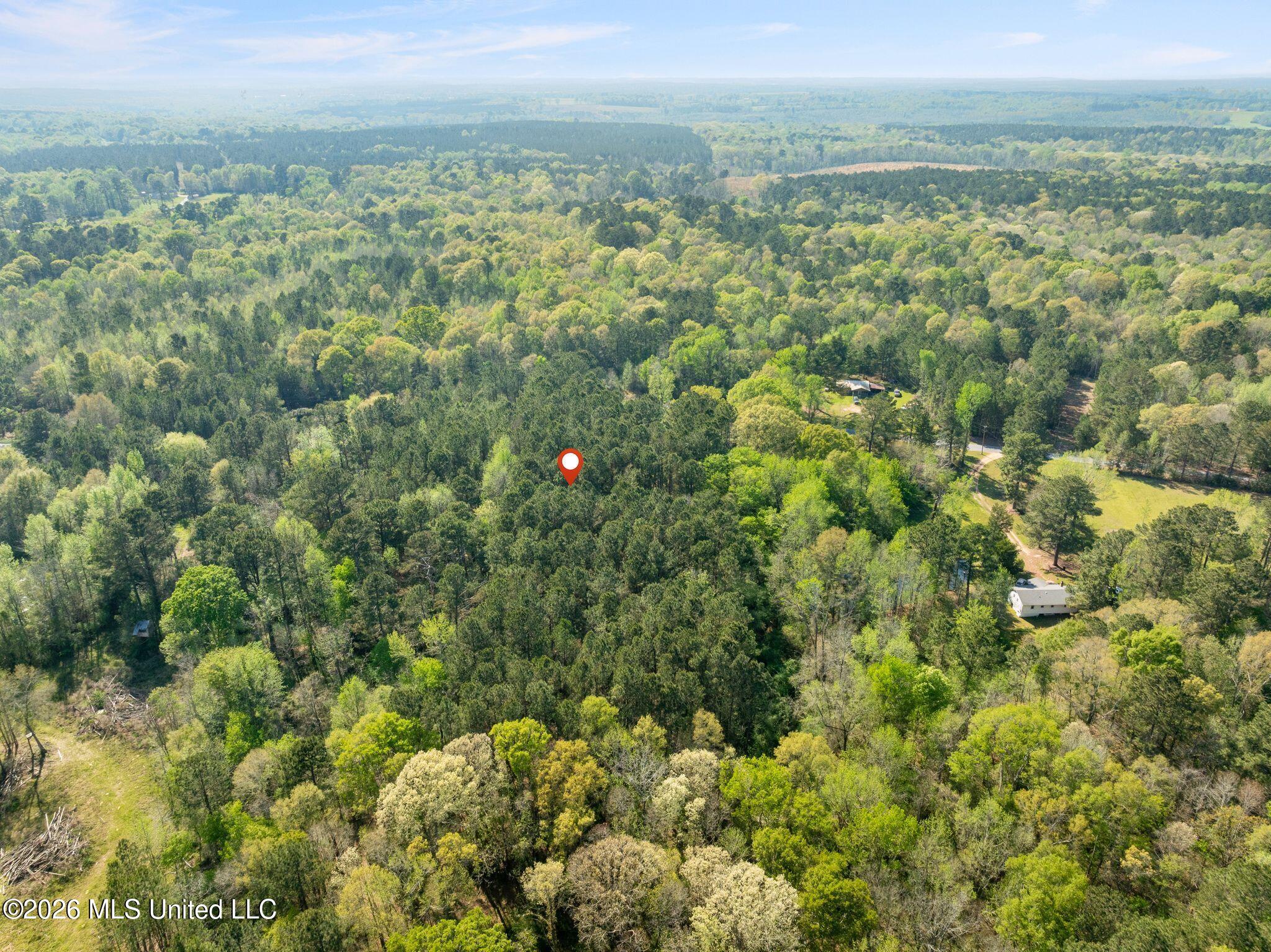 3 Acres Will Barber Road Property Photo 11