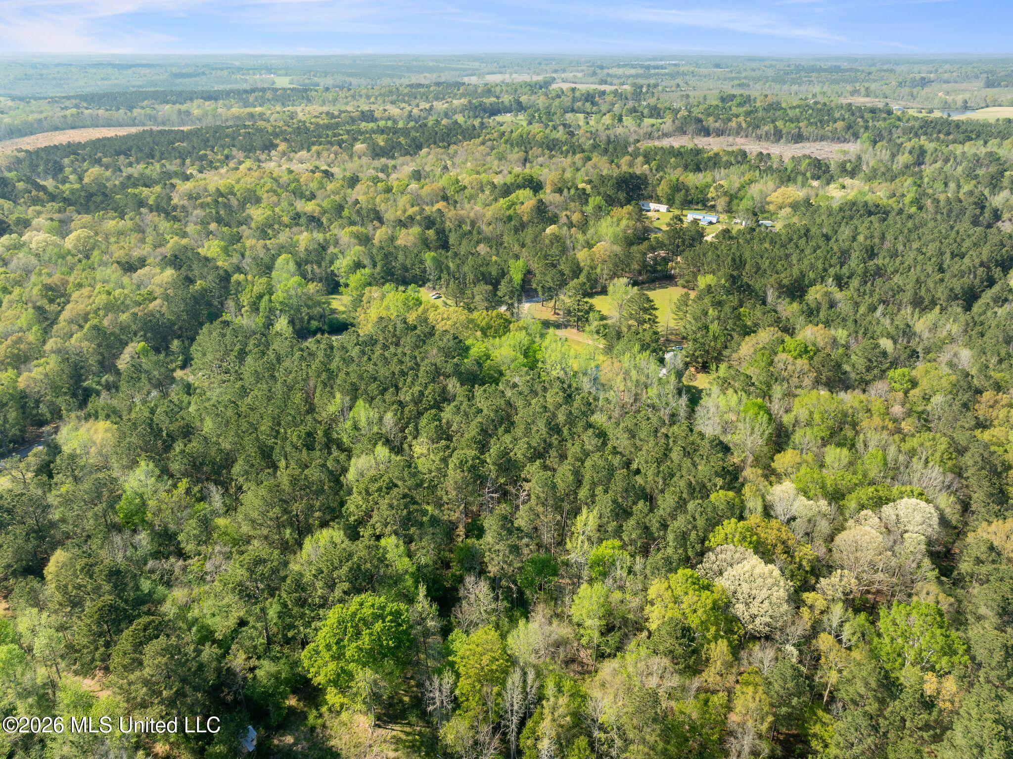 3 Acres Will Barber Road Property Photo 12