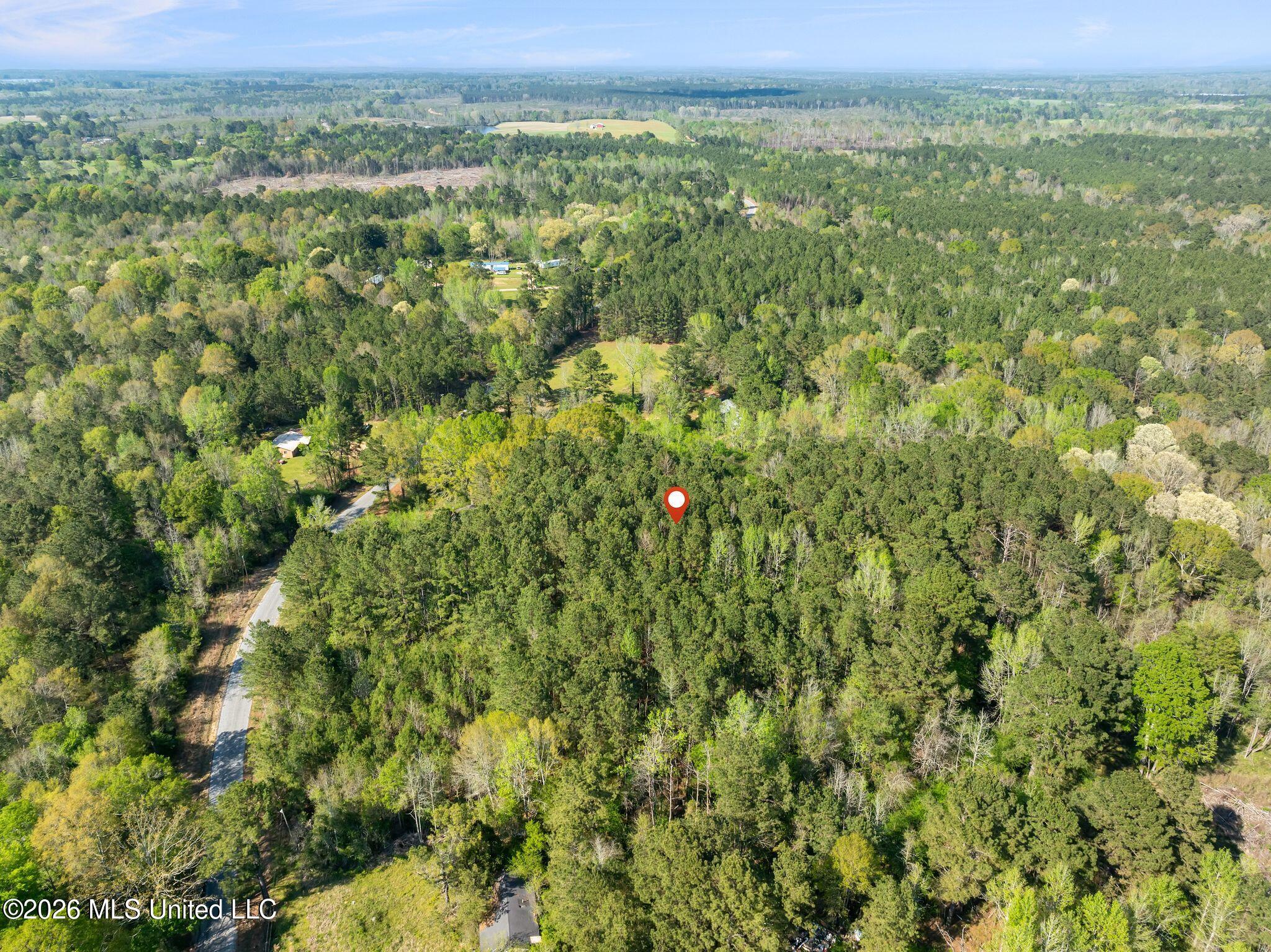 3 Acres Will Barber Road Property Photo 13