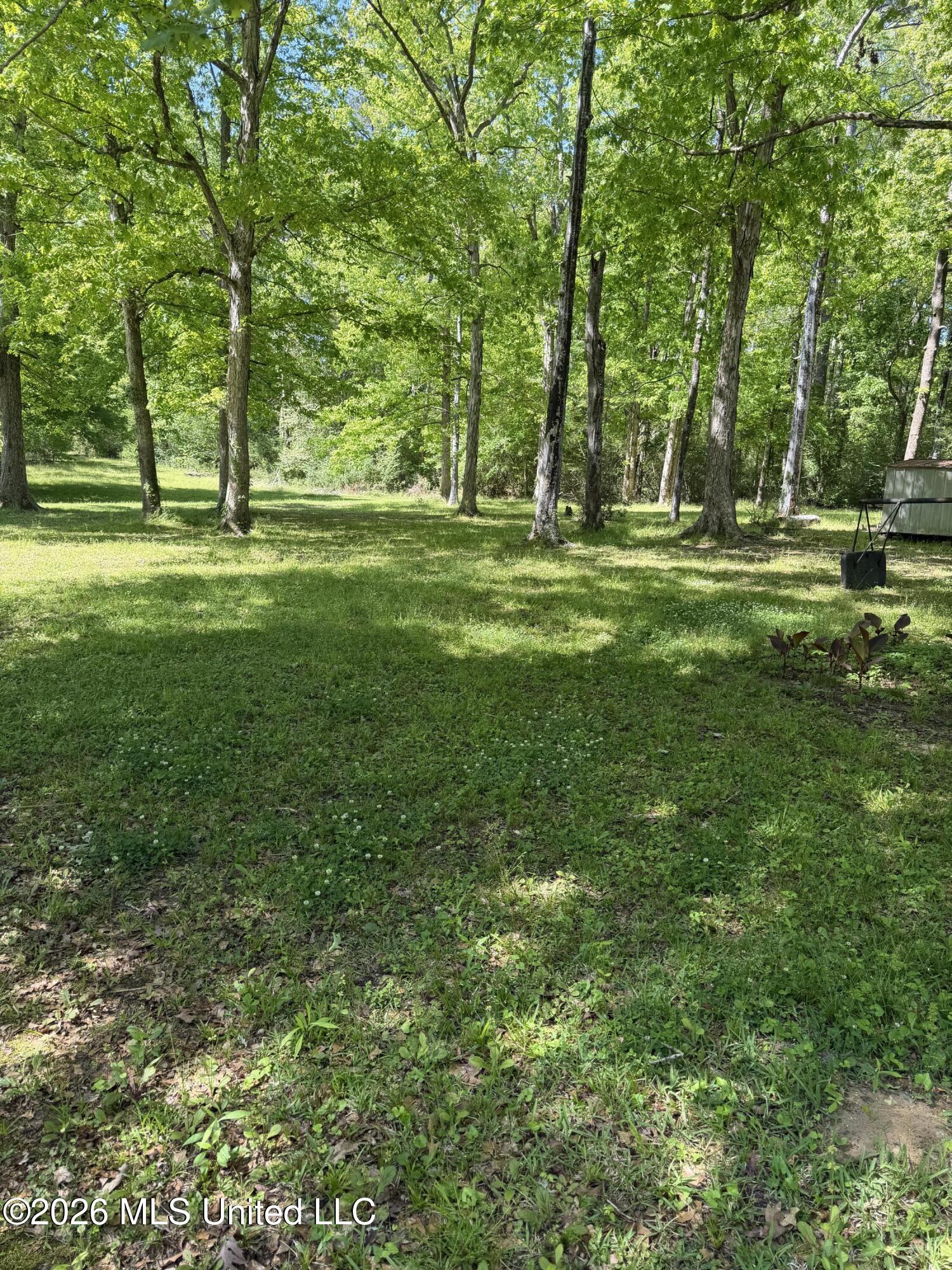1028 Busy Corner Road Property Photo 4