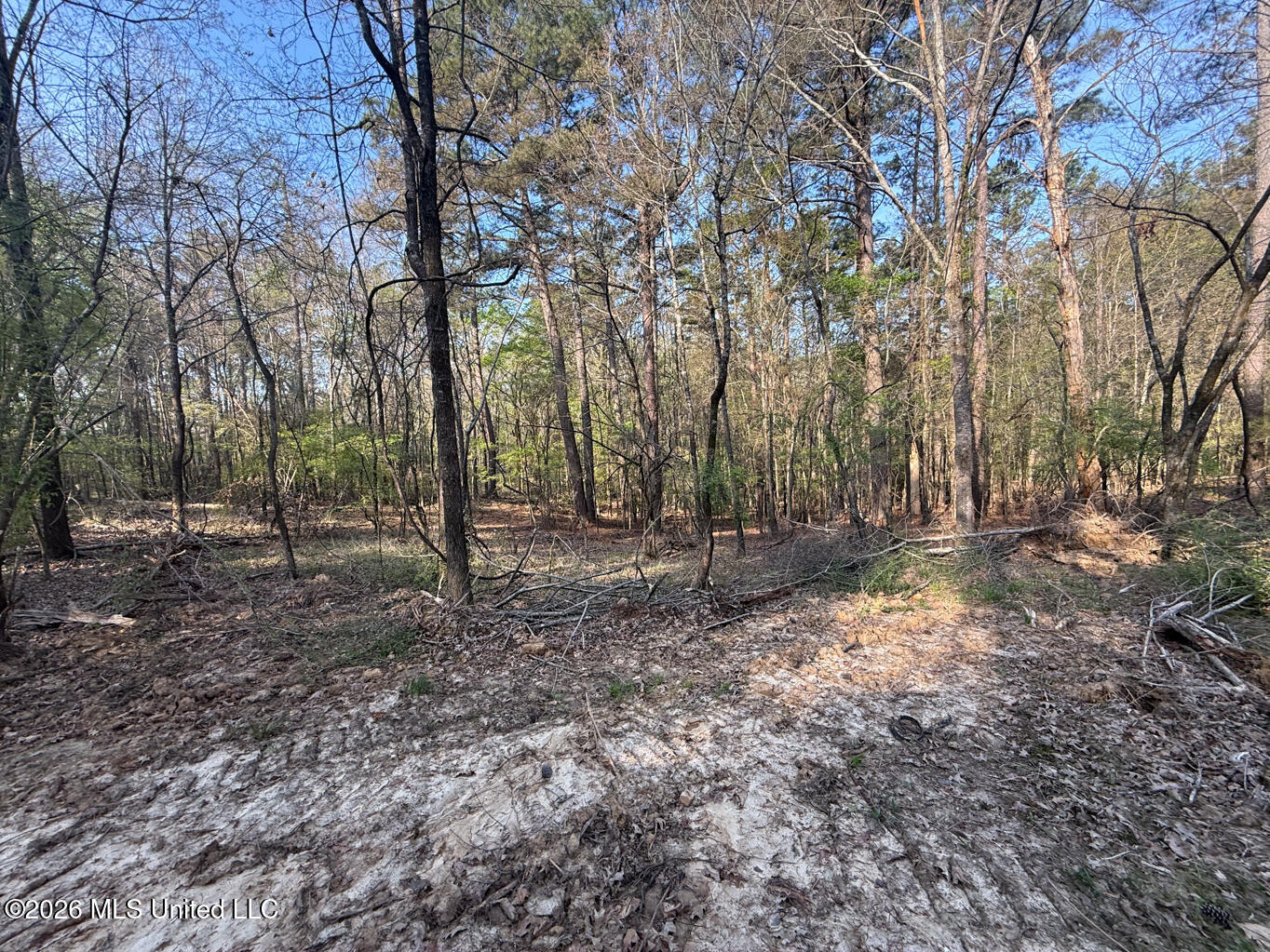 674 E J Henry Road Property Photo 4