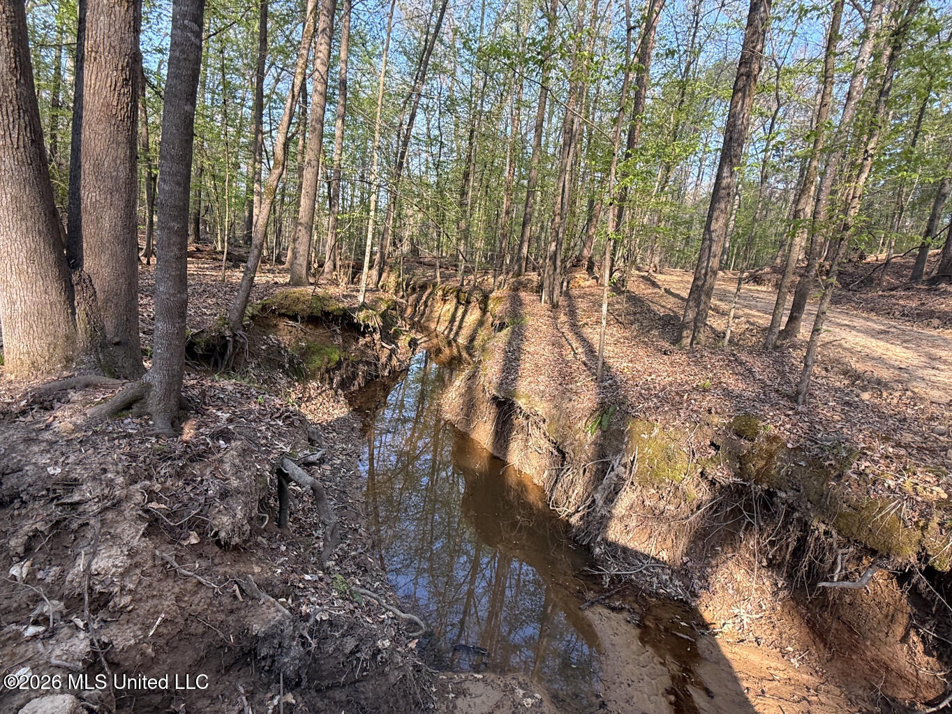 674 E J Henry Road Property Photo 15