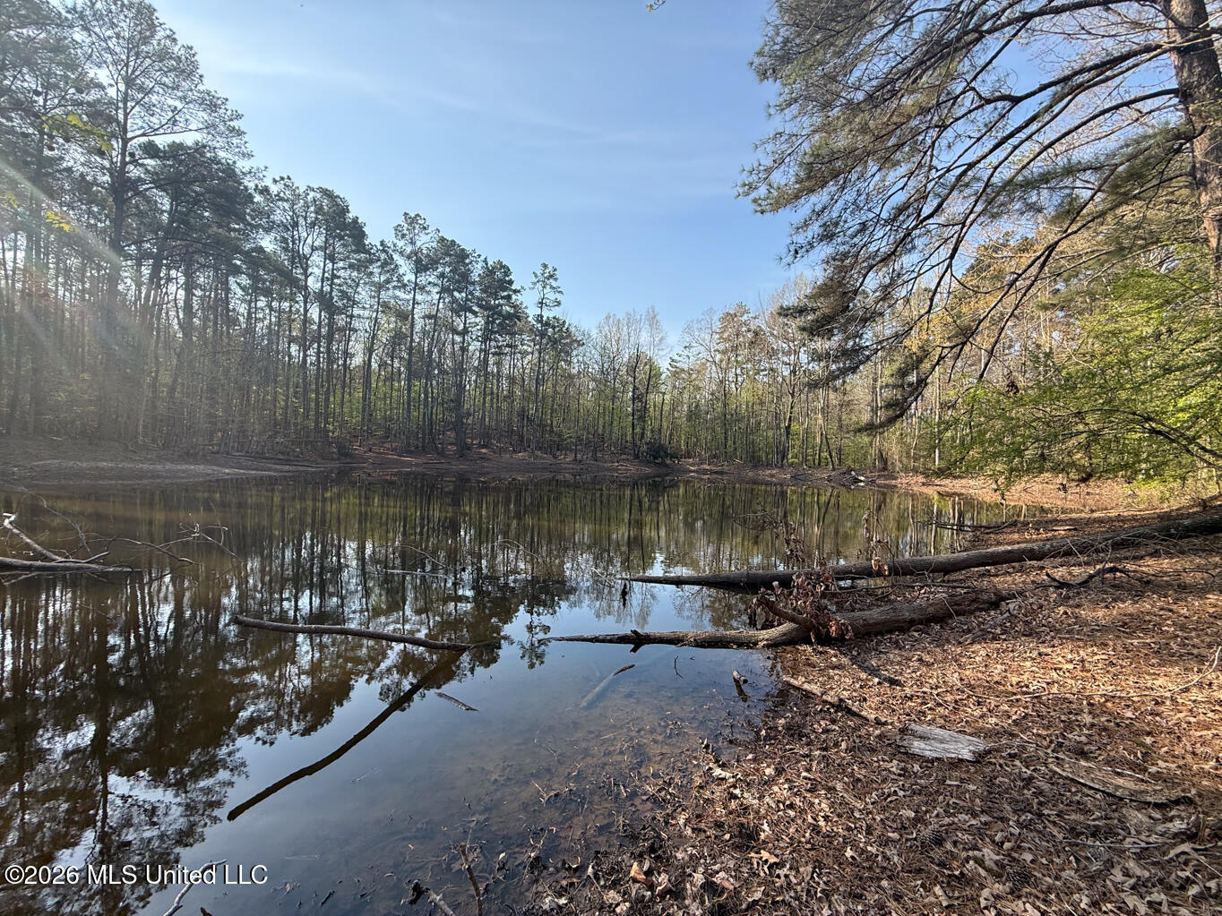 674 E J Henry Road Property Photo 16
