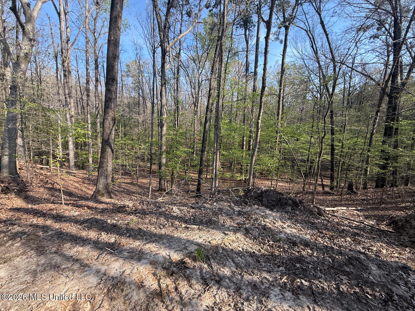 674 E J Henry Road Property Photo 21