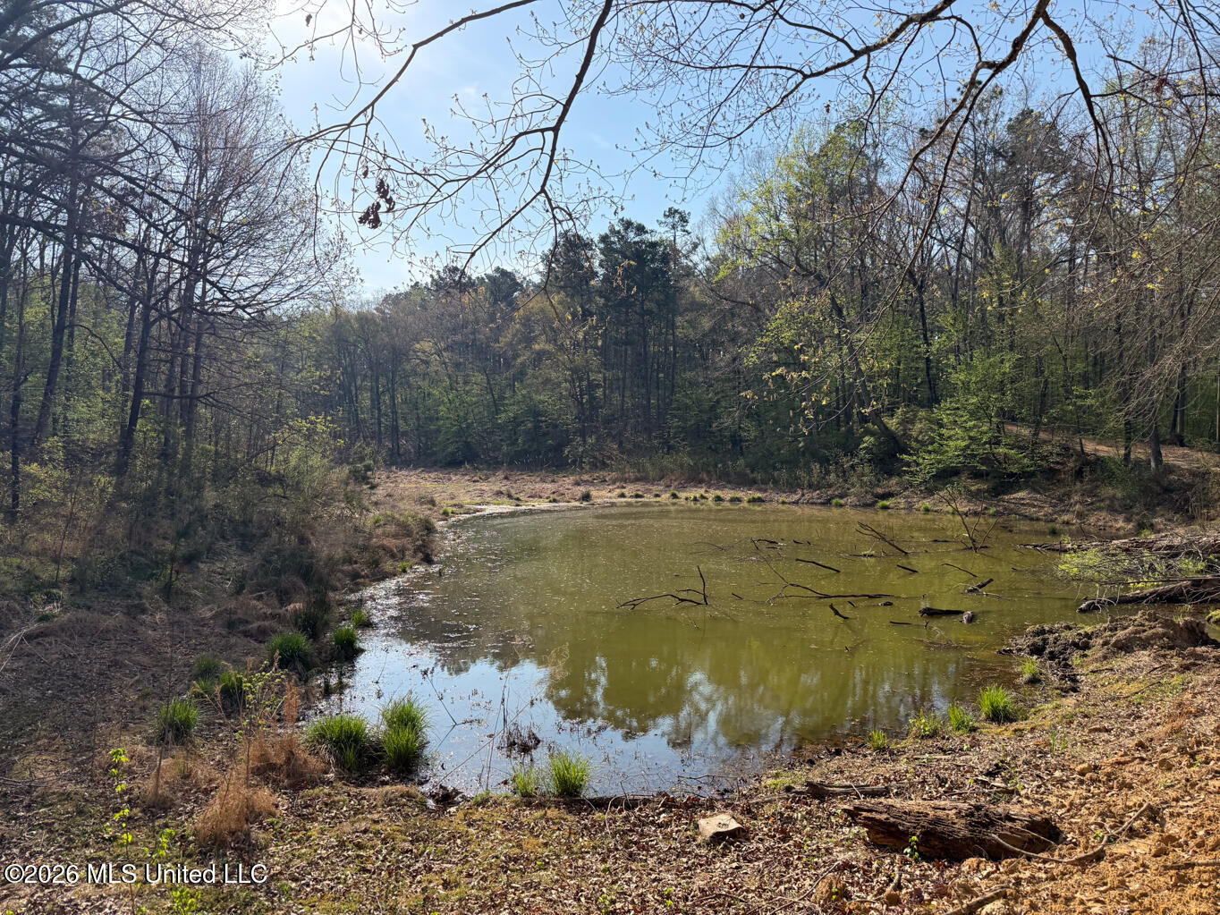 674 E J Henry Road Property Photo 23