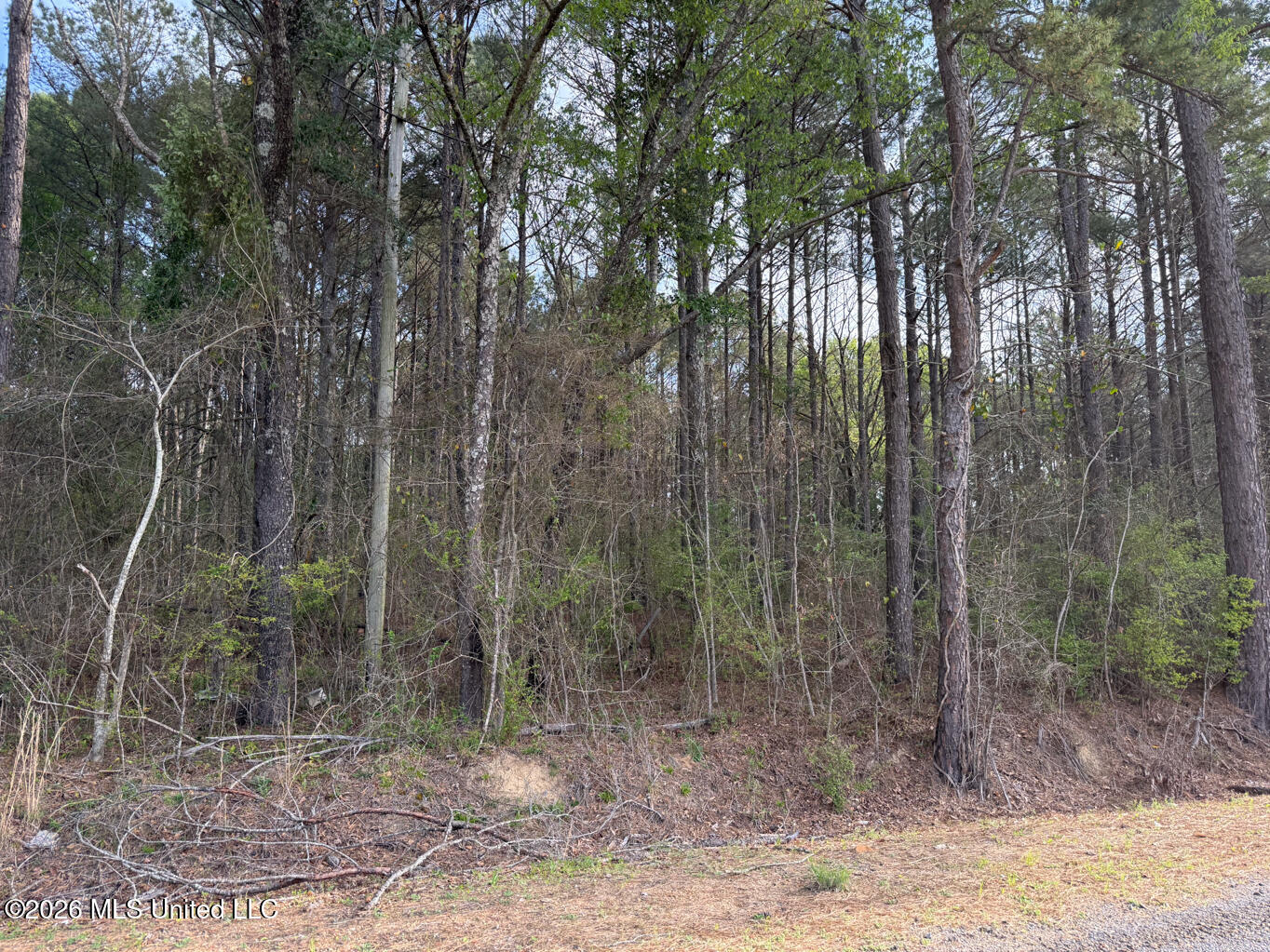 288 Galilee Road Property Photo 2